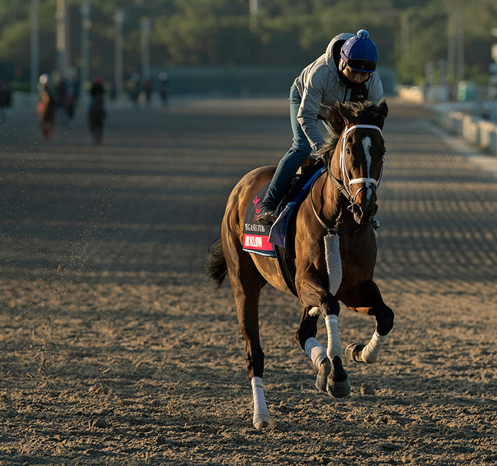 Arklow trains at Gulfstream Park in January 2020