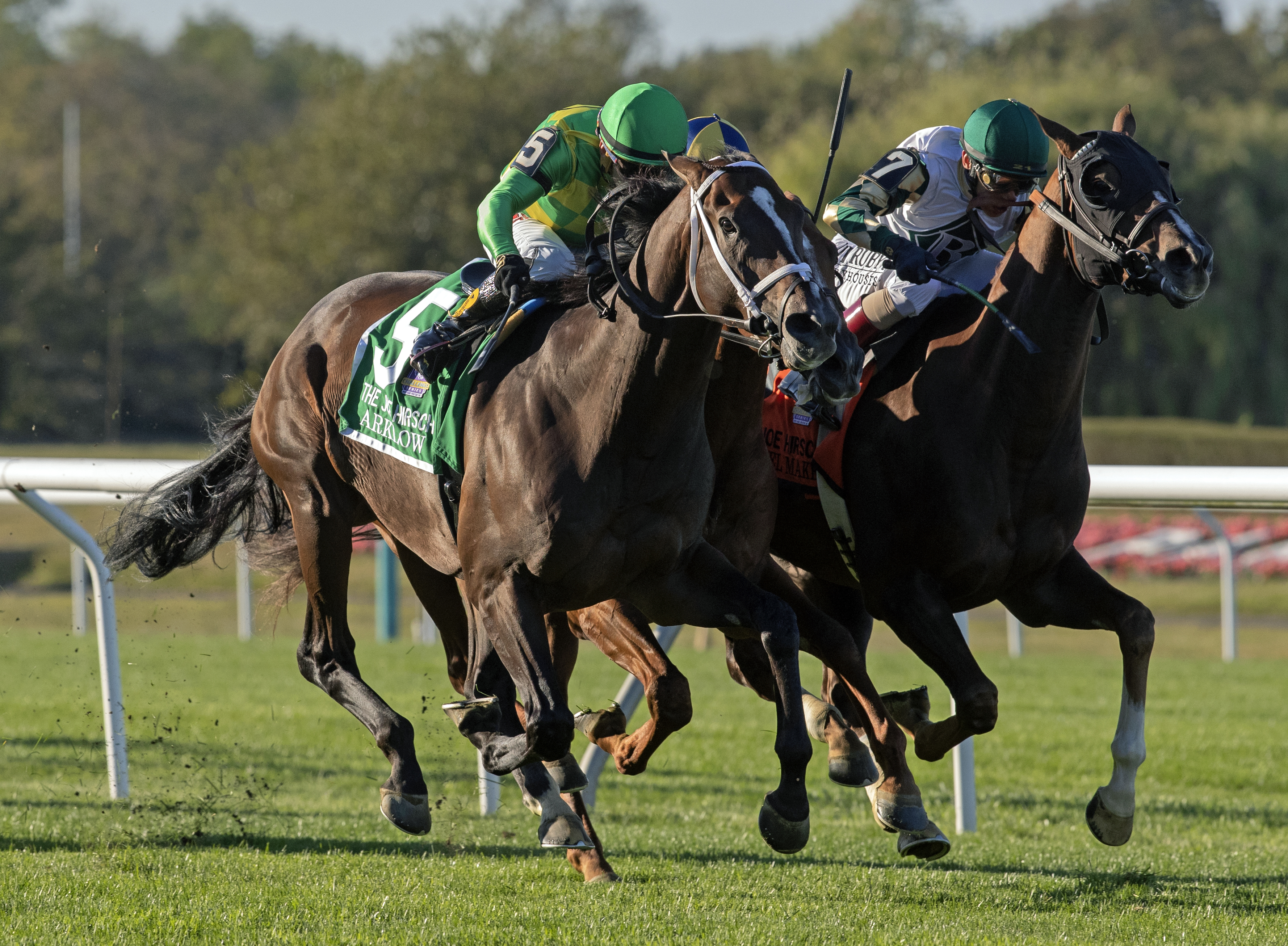 Arklow (outside) wins the 2019 Joe Hirsch Turf Classic