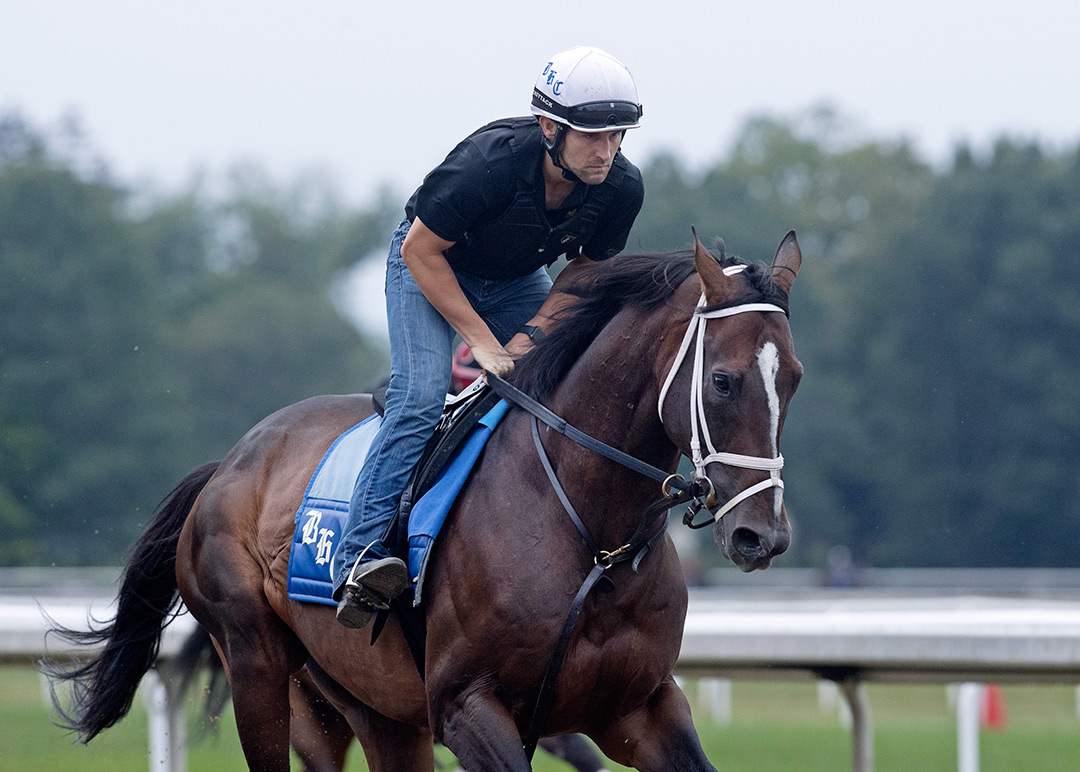 Arklow trains at Saratoga Race Course on Aug. 17