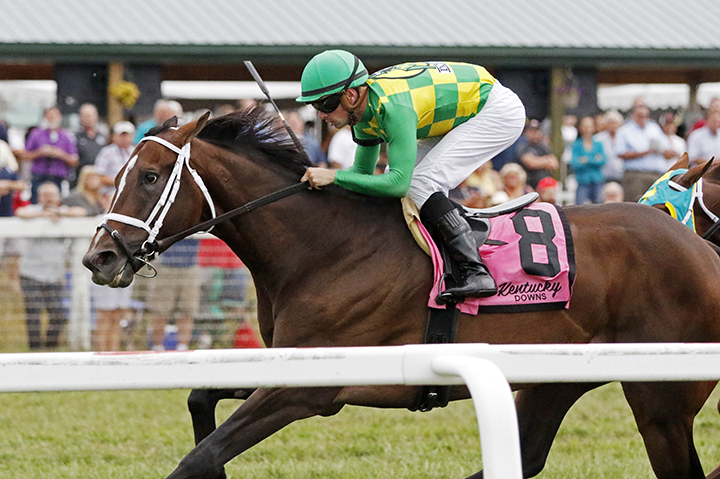 Arklow wins the 2018 Kentucky Turf Cup