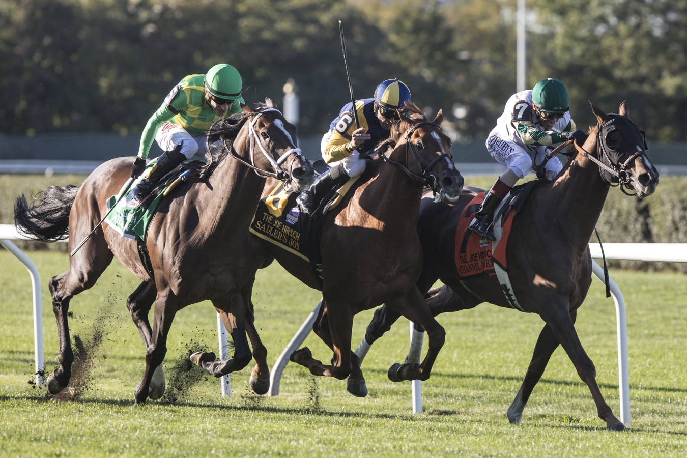 Sadler-s Joy (center) finishes third in the 2019 Joe Hirsch Turf Classic