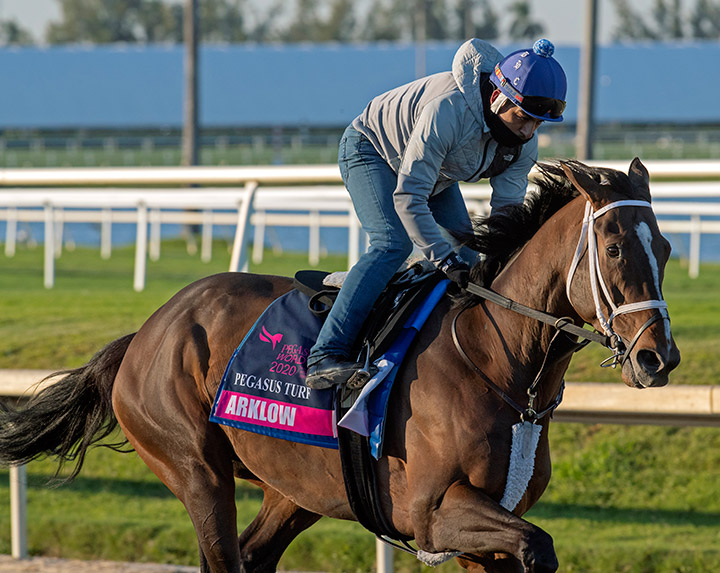 Arklow trains at Gulfstream Park in January 2020