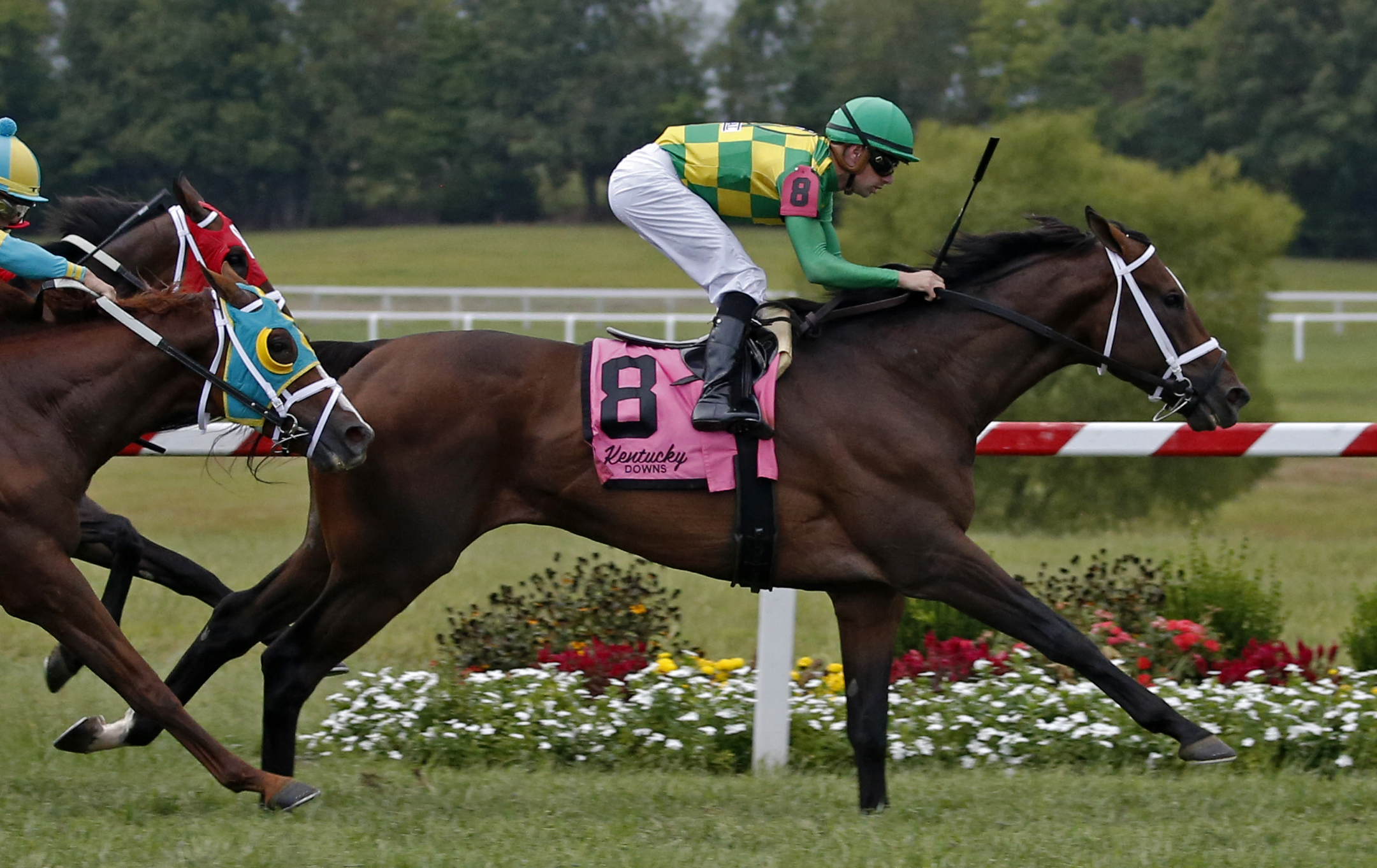 Arklow wins the 2018 Kentucky Turf Cup