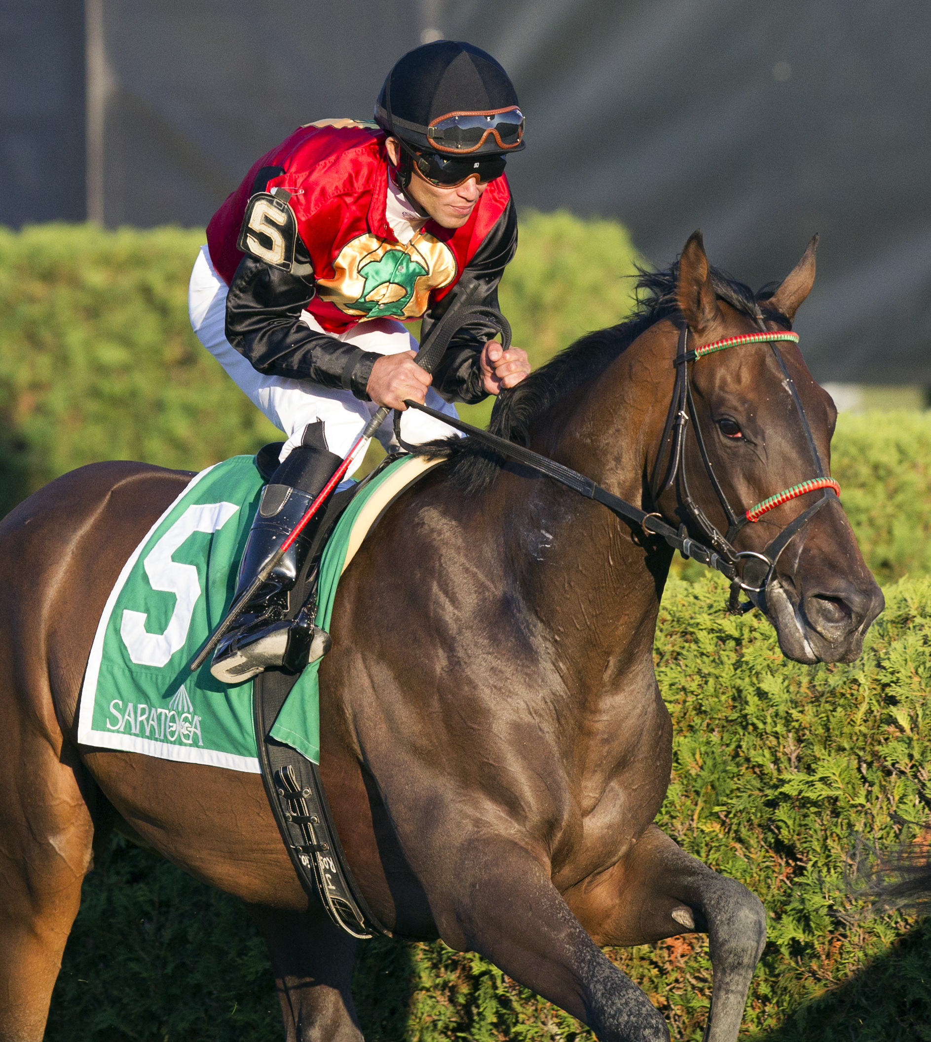 Arles finishes second in the 2016 Glens Falls Handicap