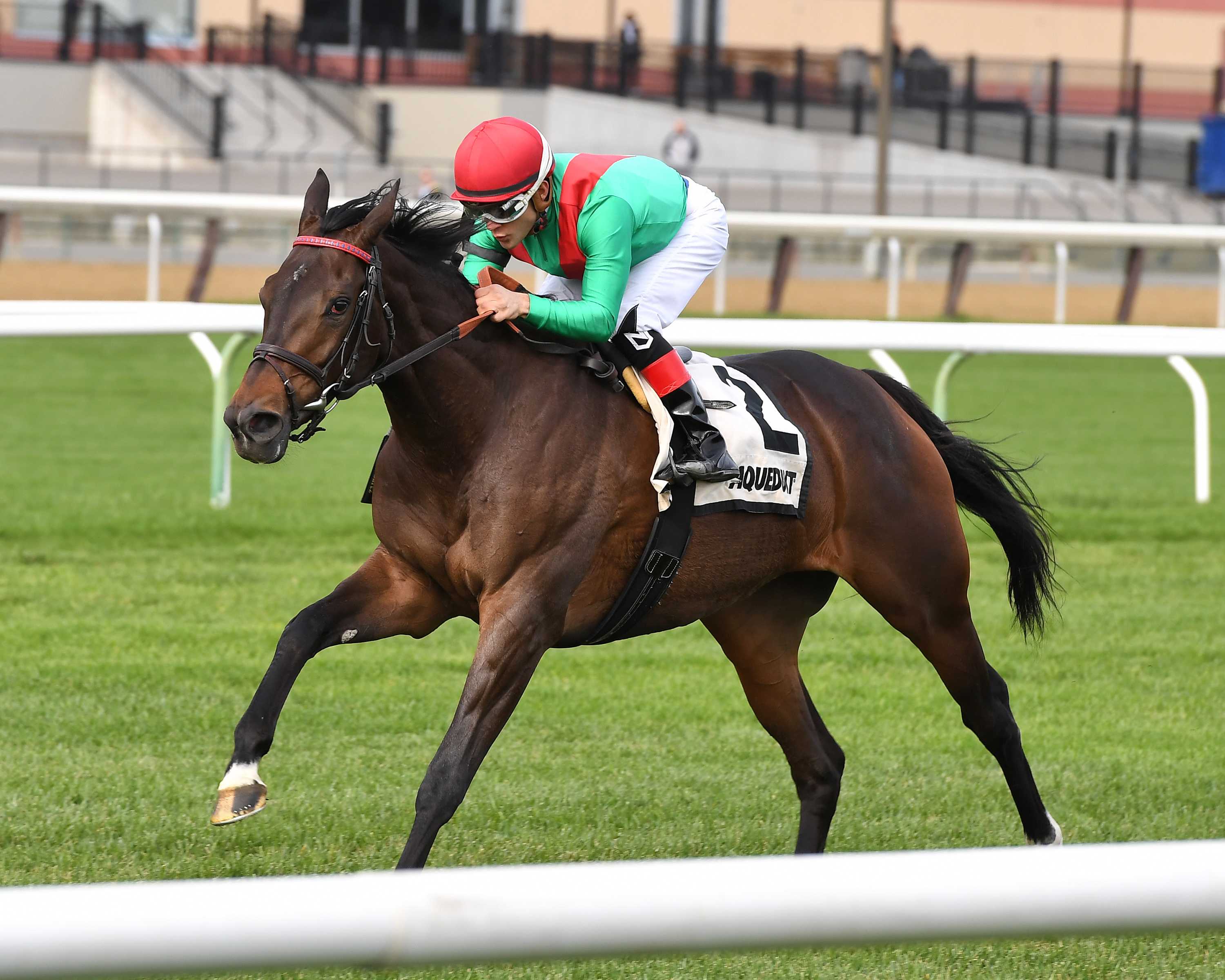 Arles wins the 2017 Long Island Handicap