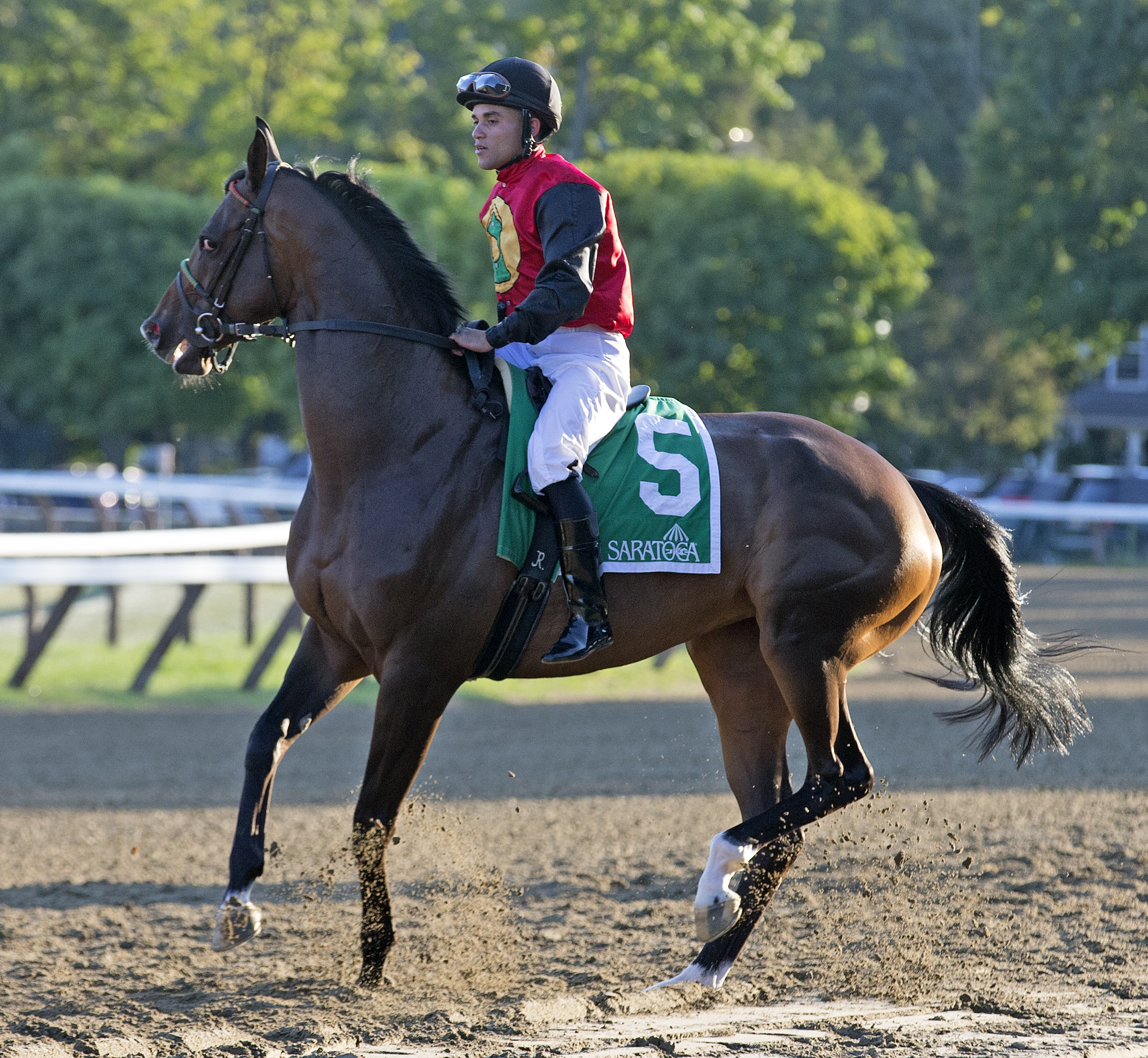 Arles at the Glens Falls Handicap