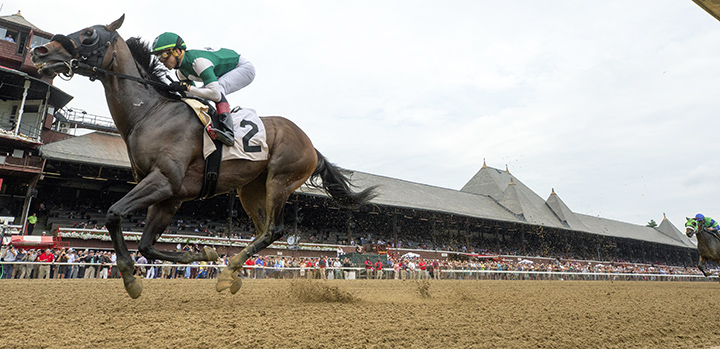 Armament wins a July 11 claiming race at Saratoga Race Course