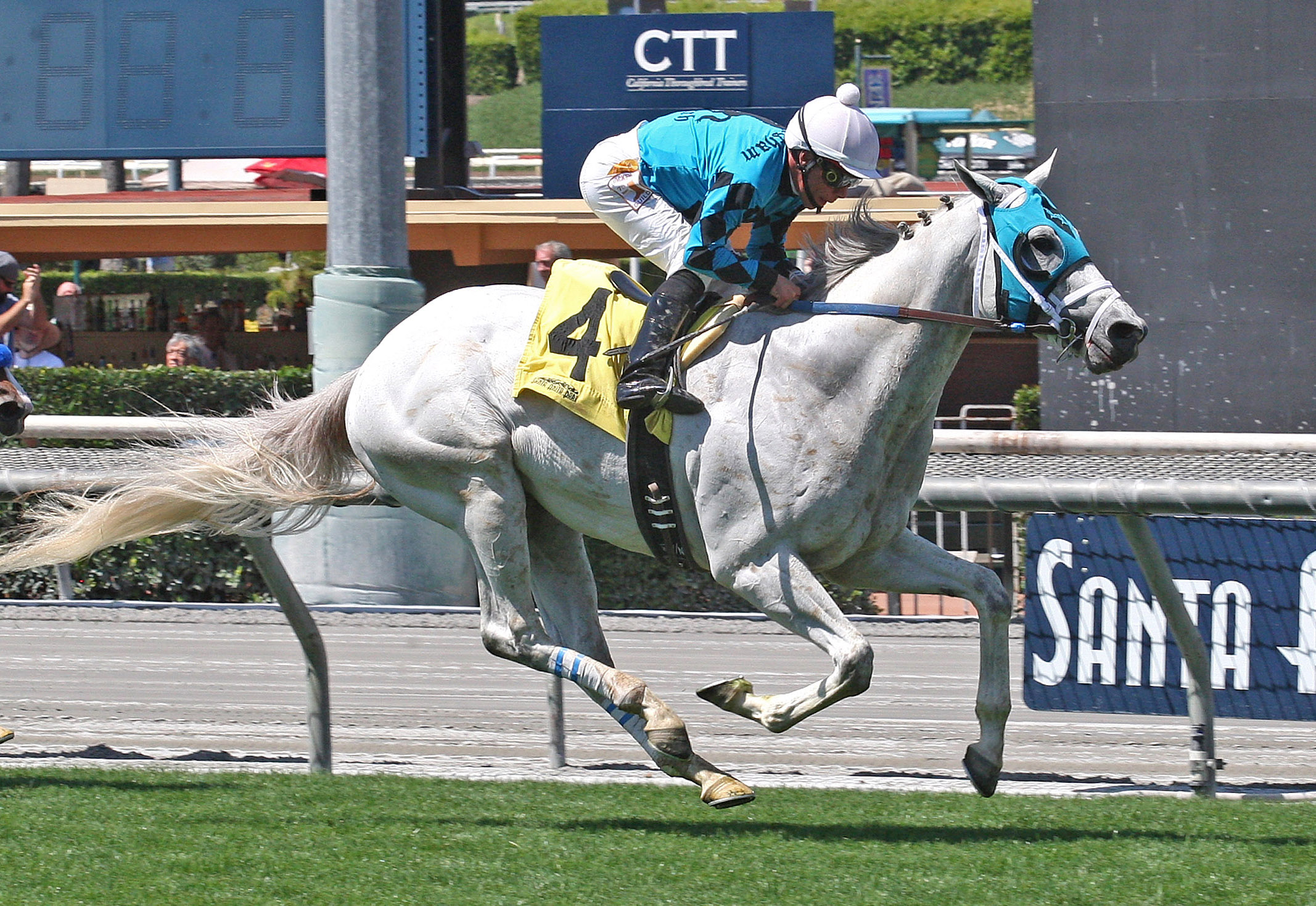 Arms Runner wins the Desert Code Stakes