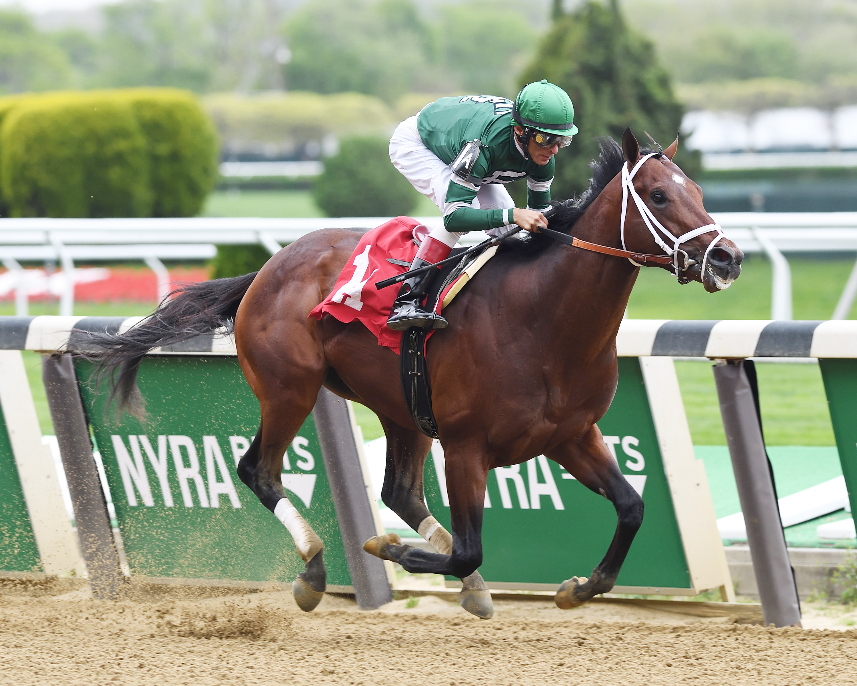 Army Mule wins an April 30 maiden race