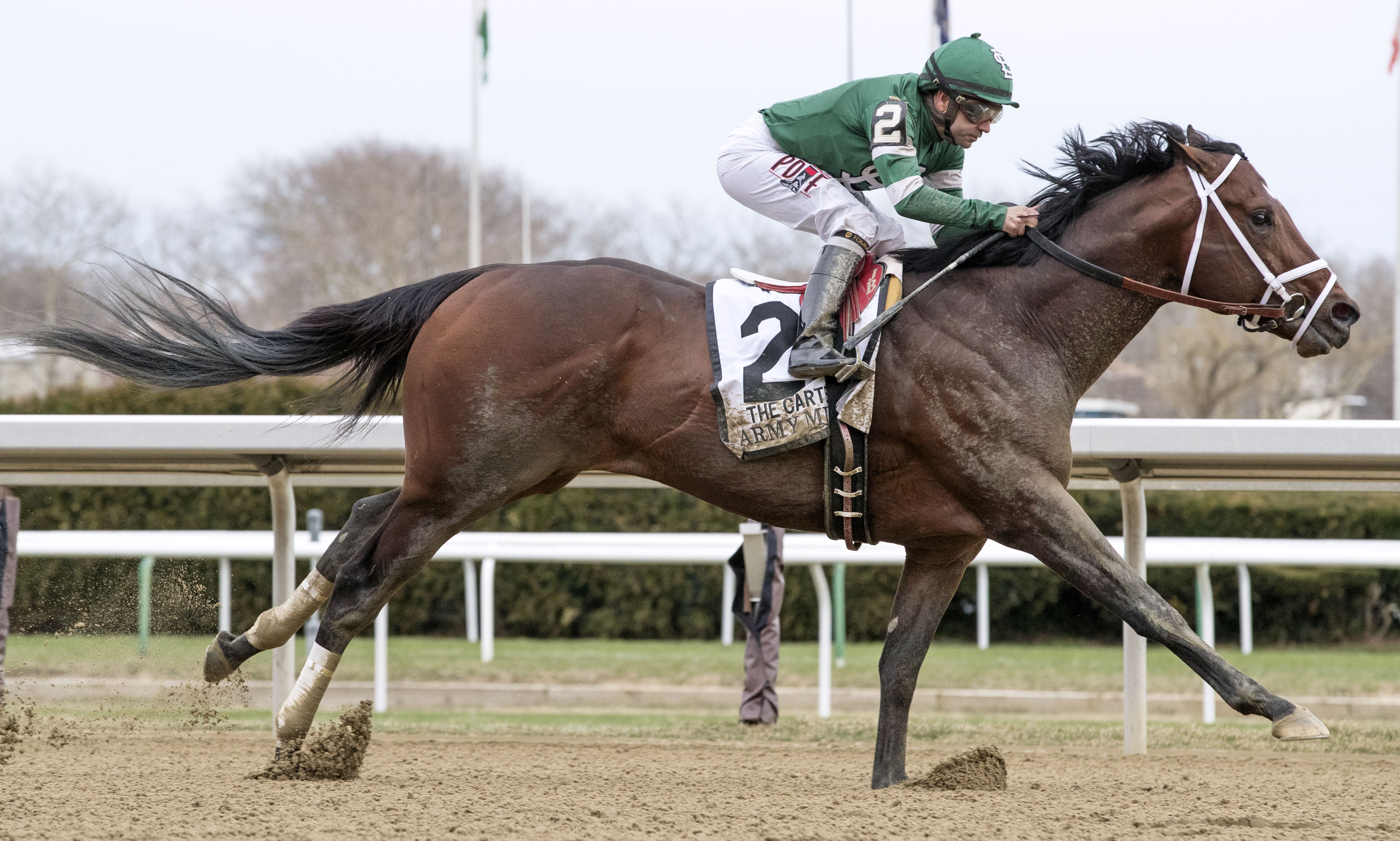Army Mule wins the 2018 Carter Stakes