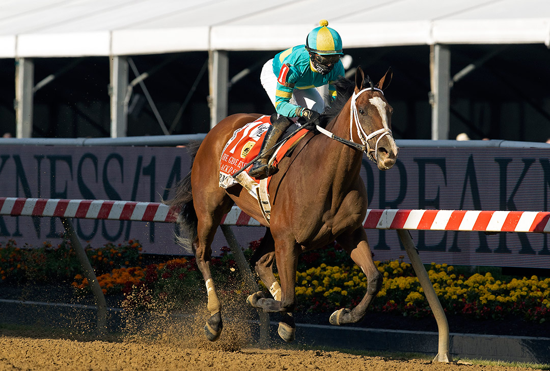 Army Wife wins the 2021 Black-Eyed Susan Stakes at Pimlico Race Course