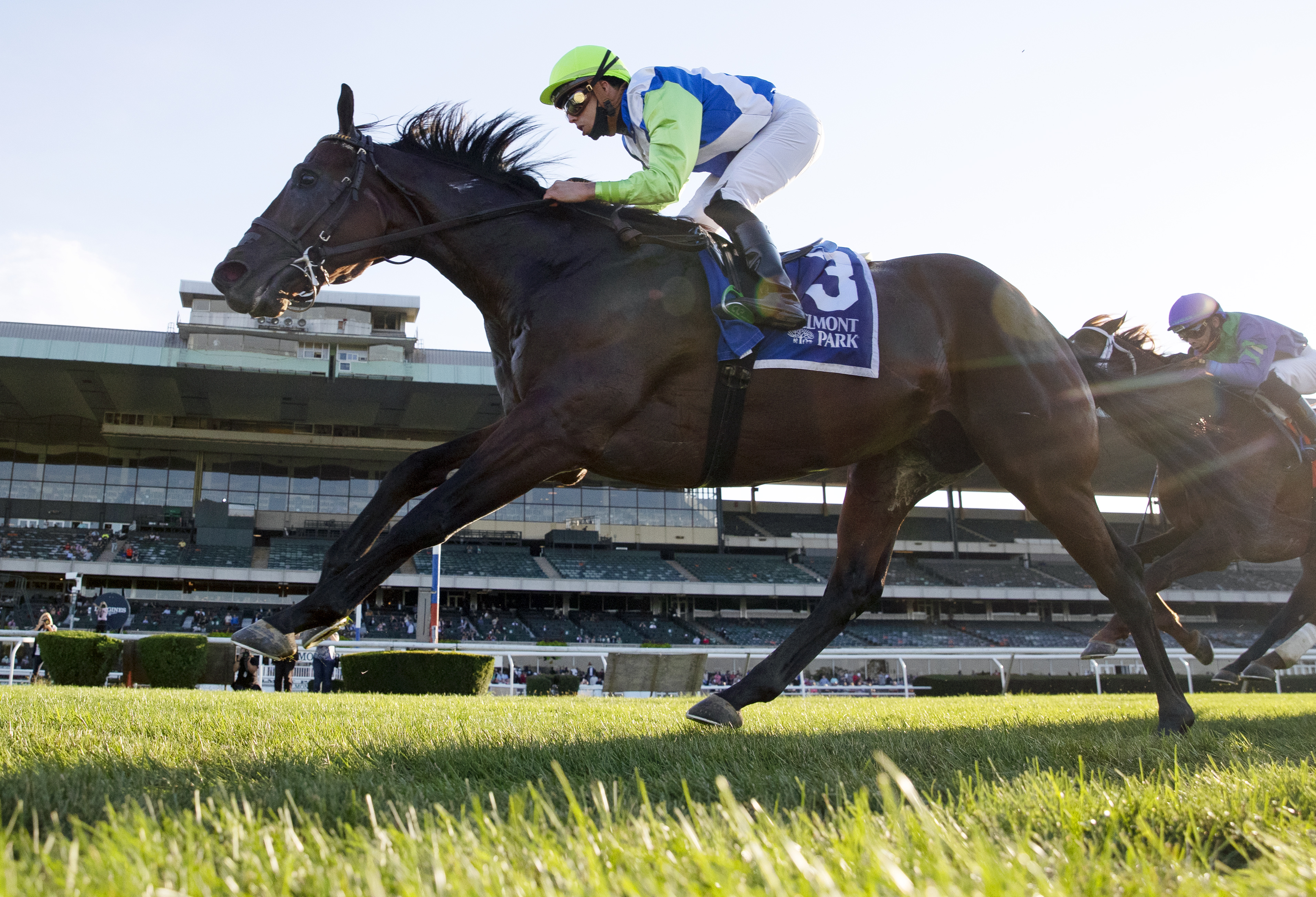 Arrest Me Red, Bel turf Sprint