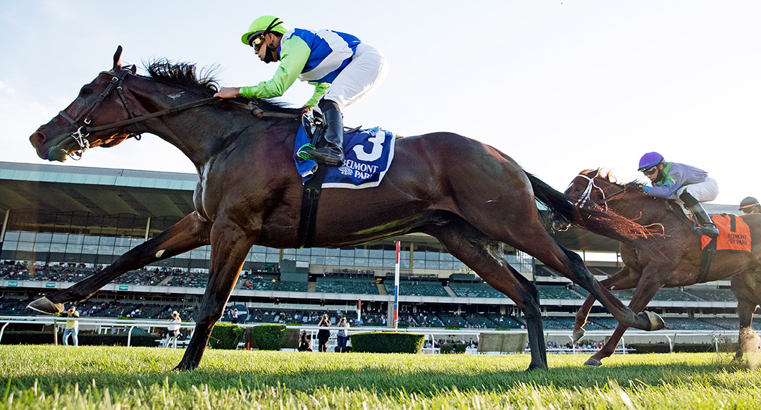 Arrest Me Red wins the 2021 Belmont Turf Sprint at Belmont Park