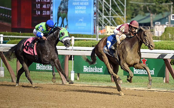 Arrifana wins an Aug. 31 allowance race at Saratoga Race Course