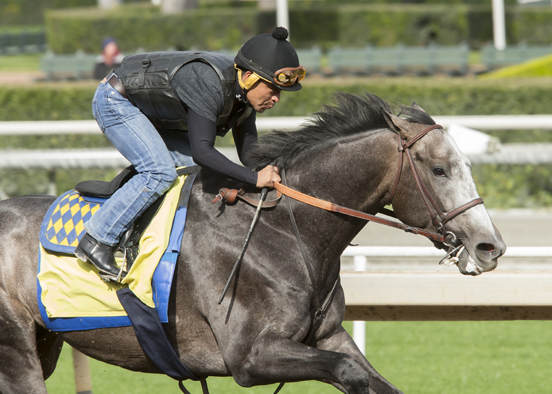 Arrogate 1-15-2017