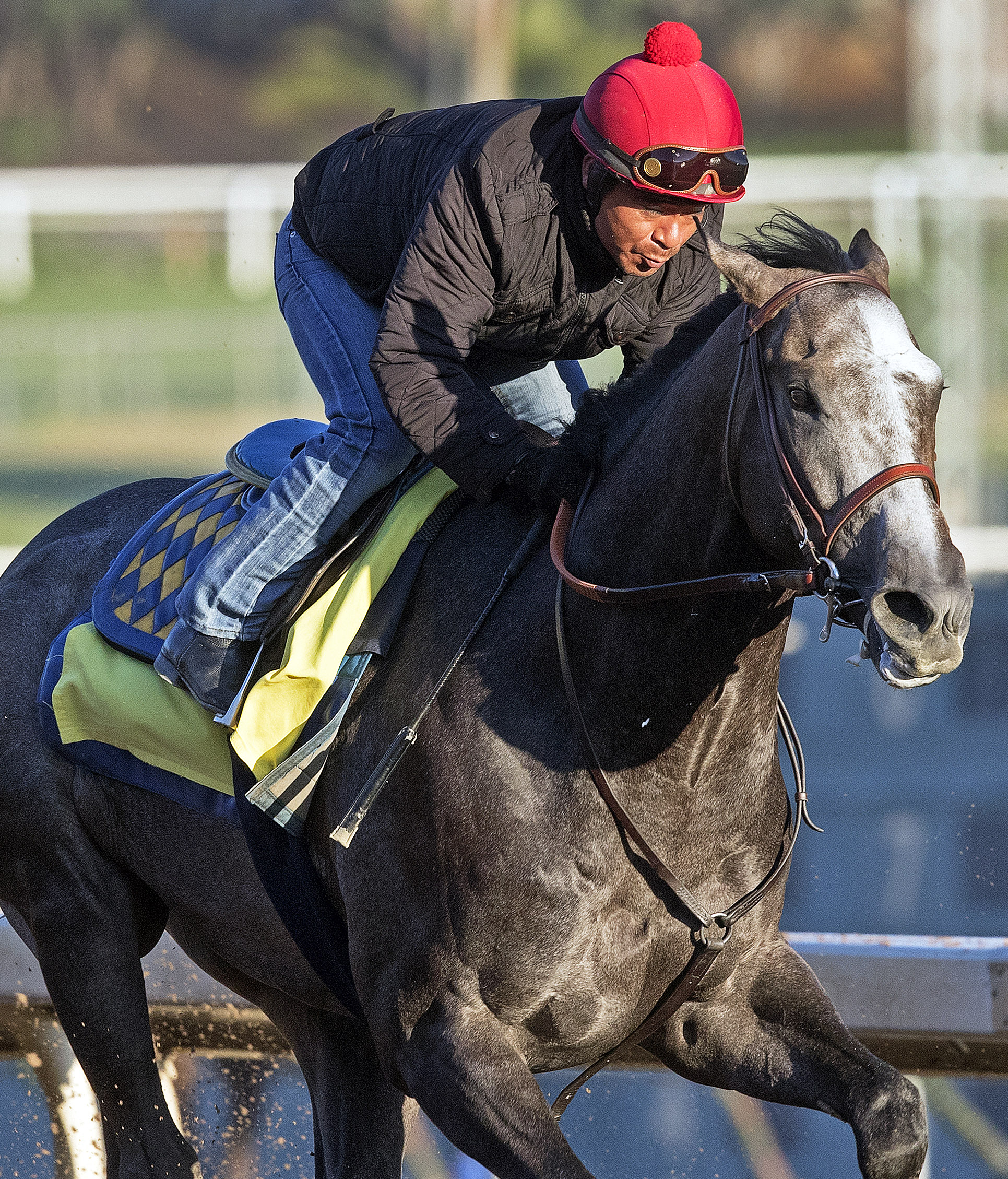Arrogate