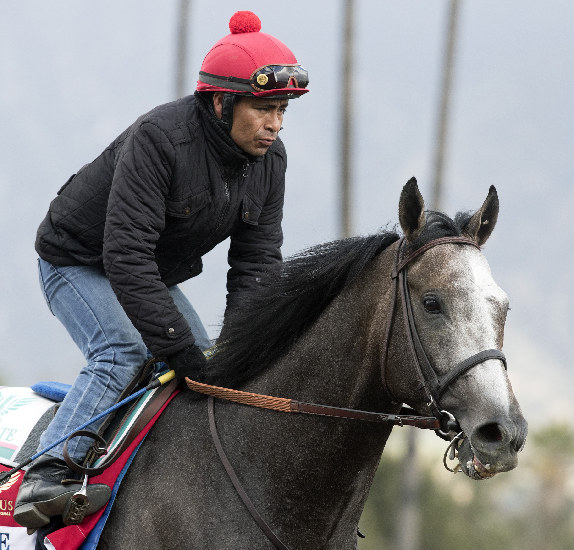 Arrogate