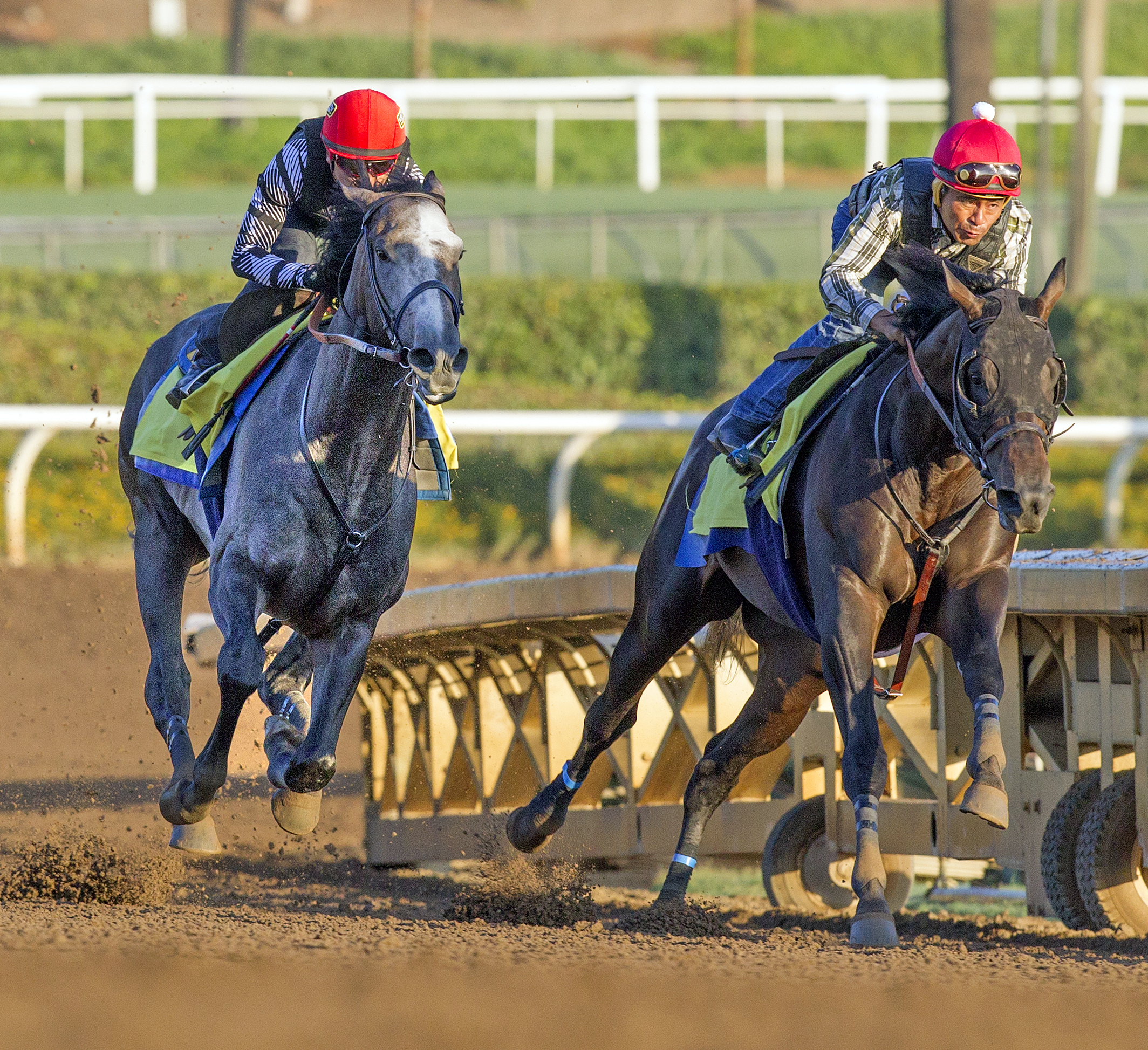 Arrogate trains with Mor Spirit at Santa Anita on Oct. 25