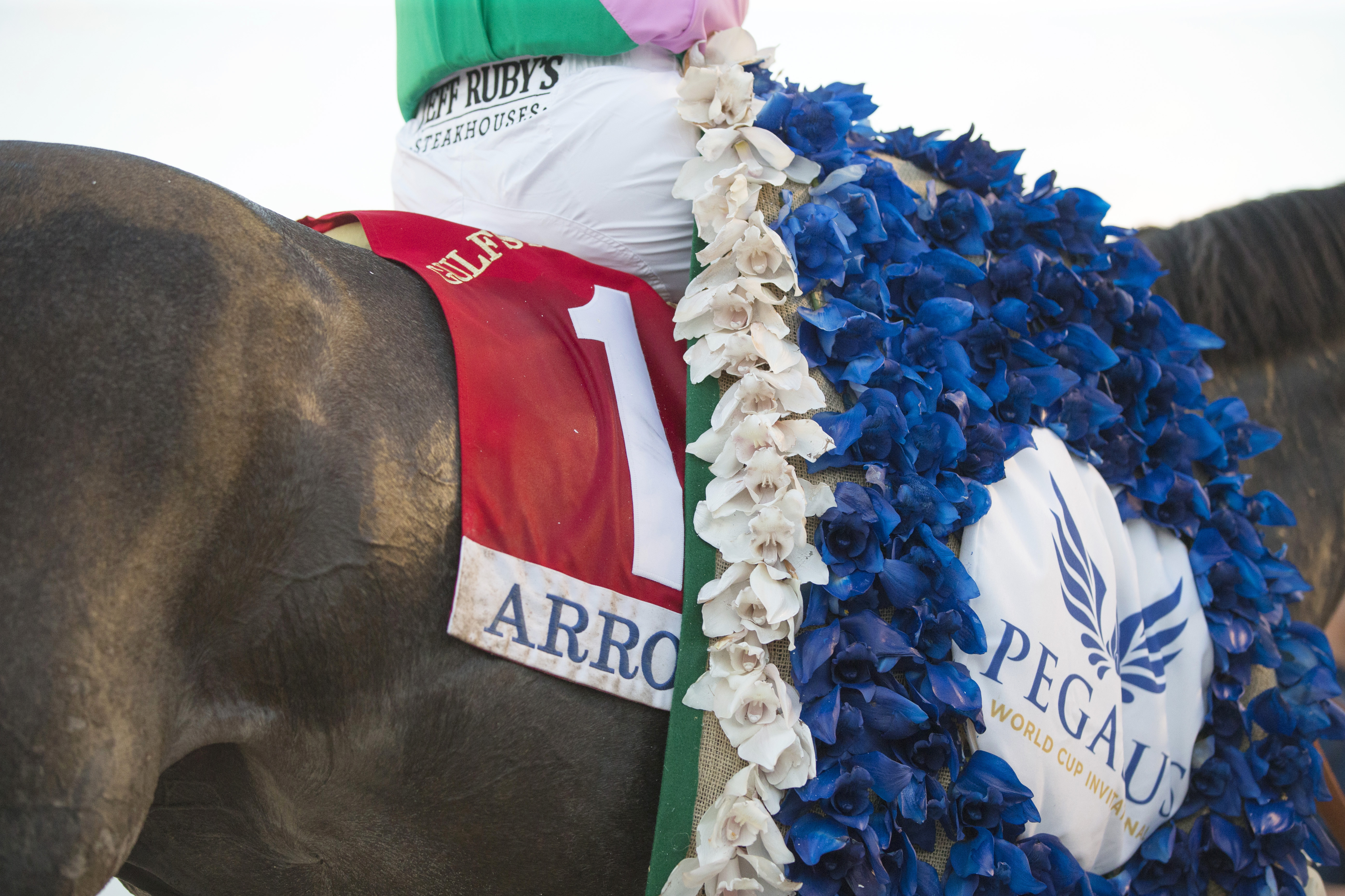 Arrogate with 2017 Pegasus World Cup winner's blanket