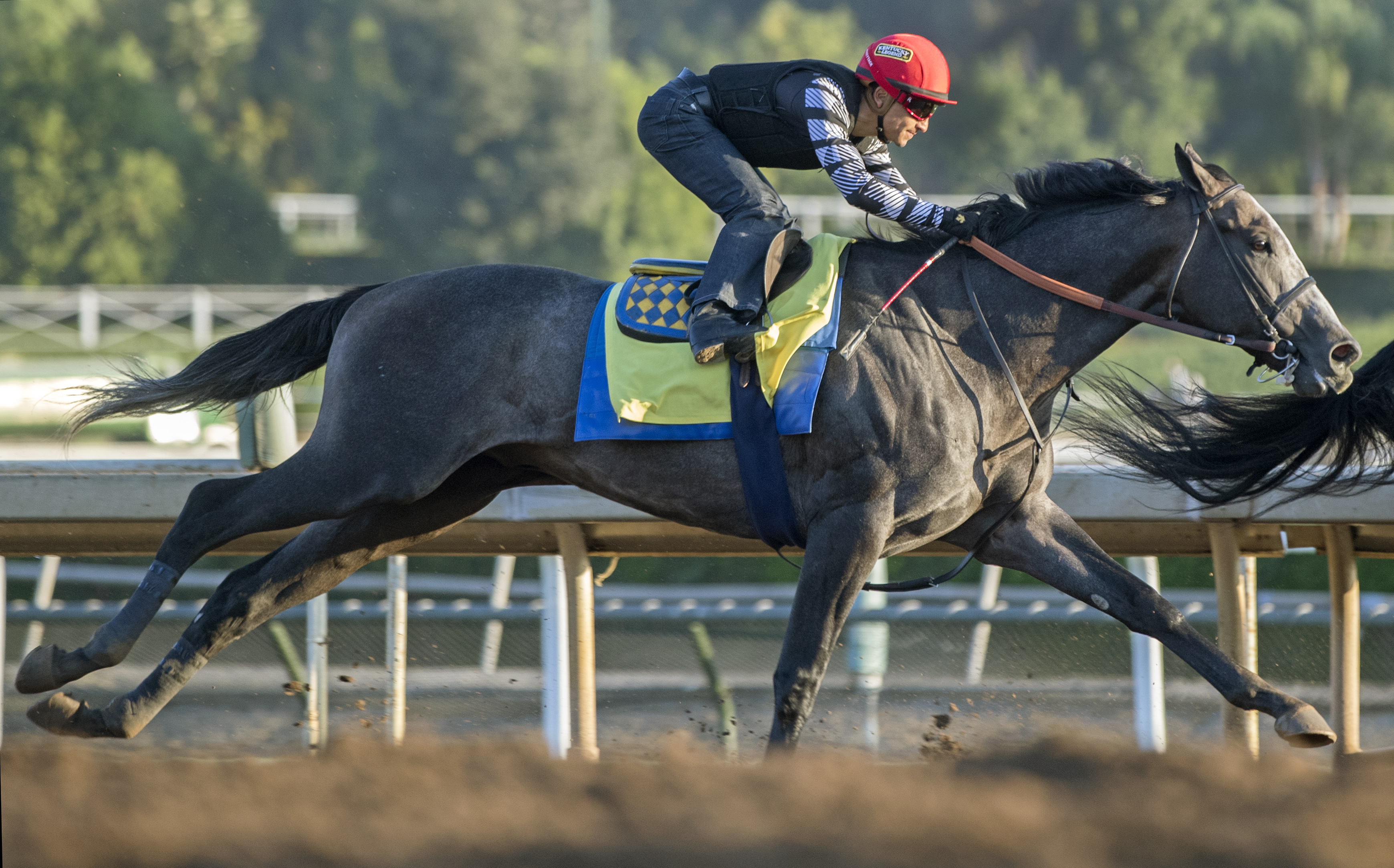 Arrogate trains at Santa Anita on Oct. 25