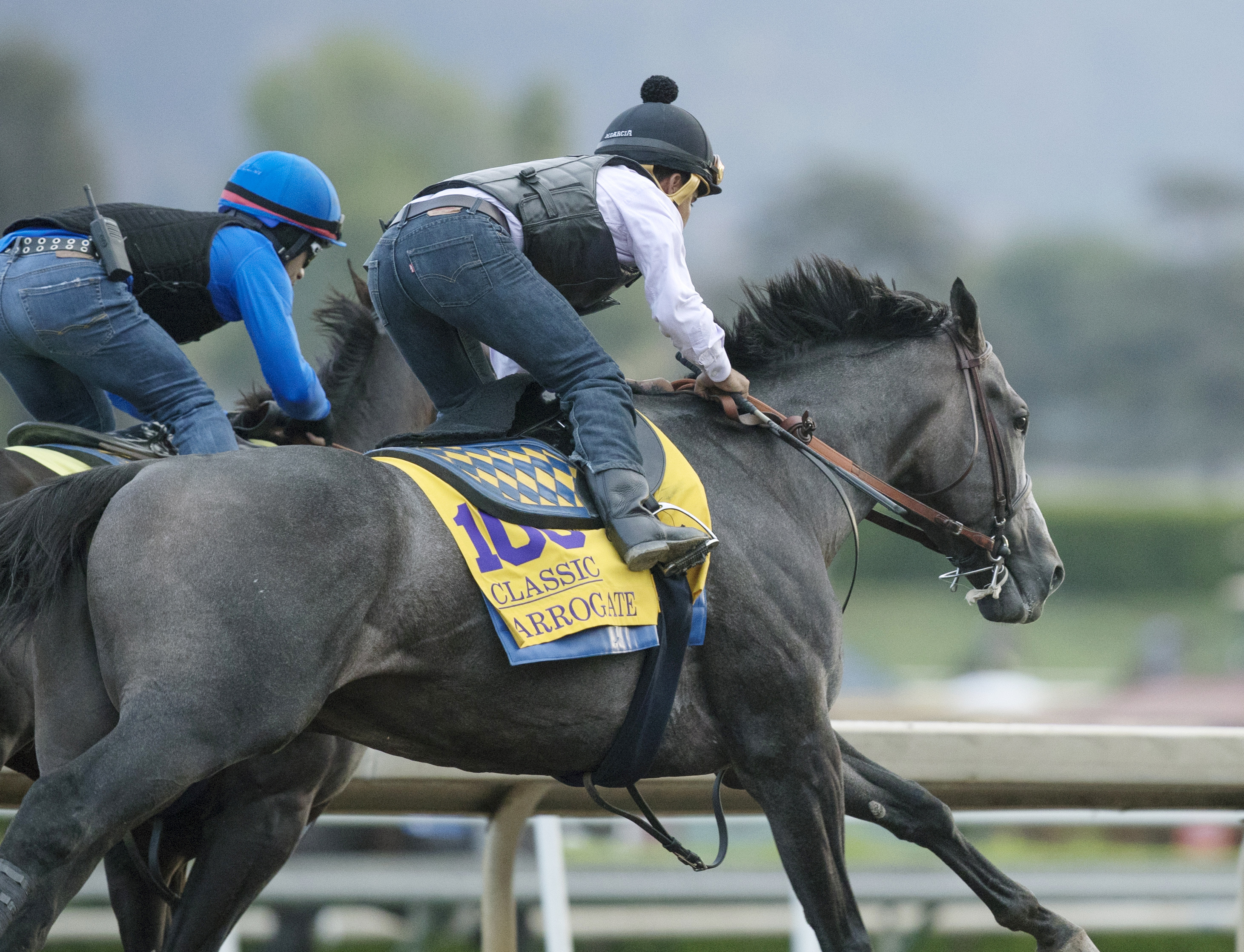 Arrogate works on Oct. 31