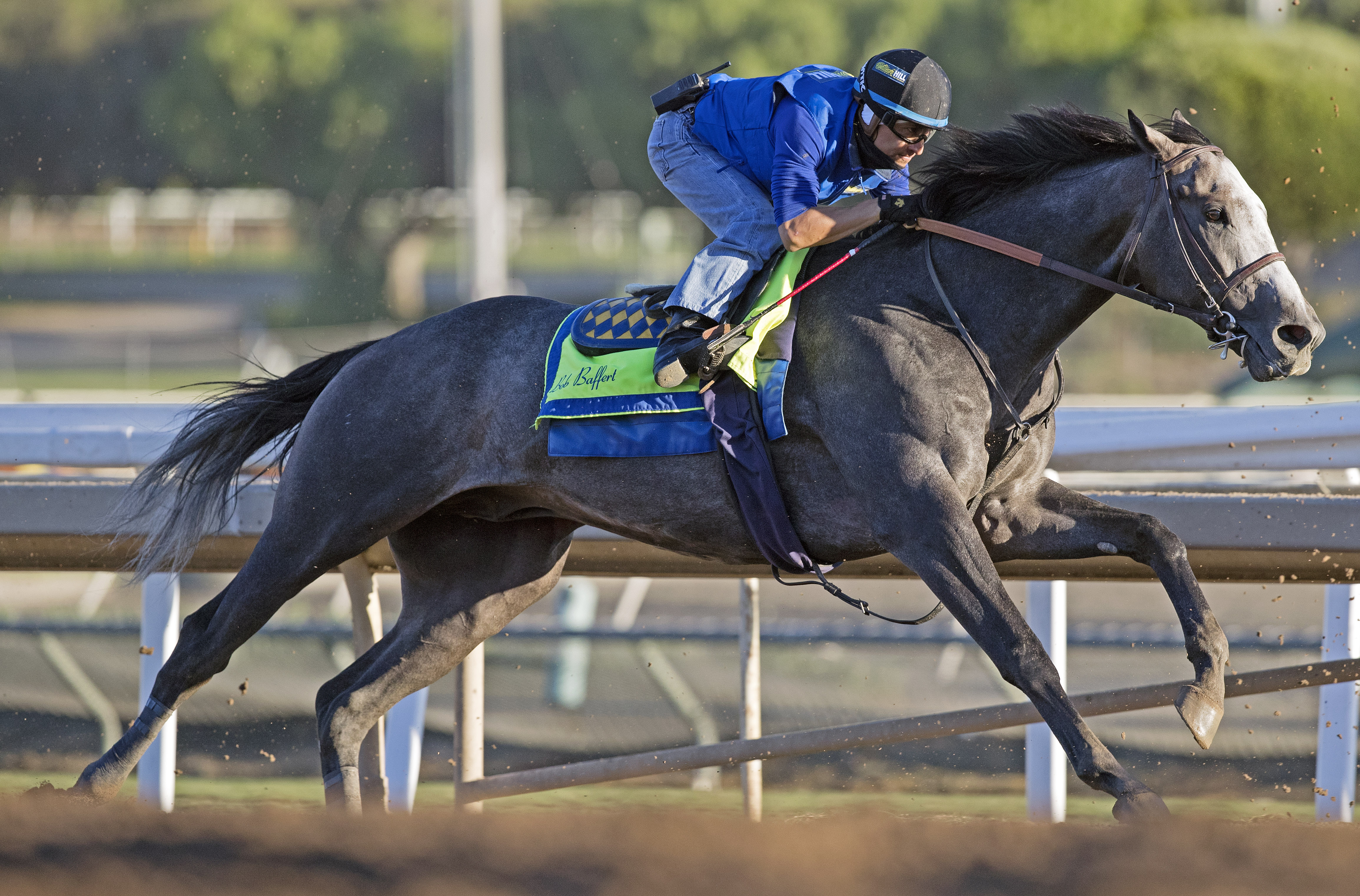 Arrogate trains at Santa Anita on Oct. 23