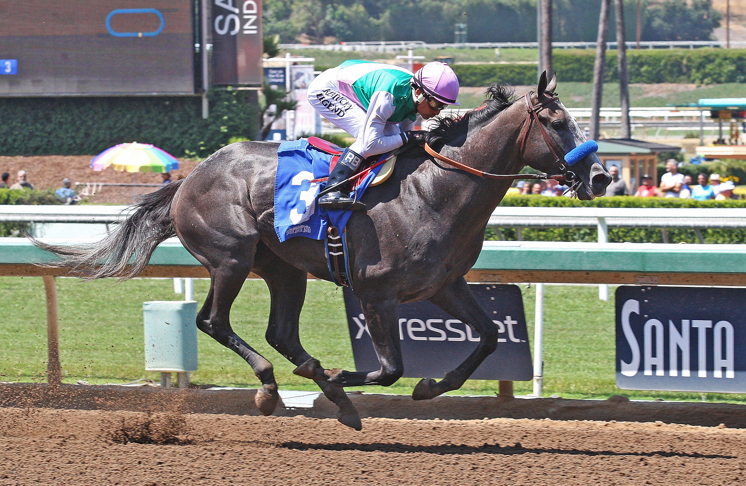Arrogate wins a maiden race at Santa Anita