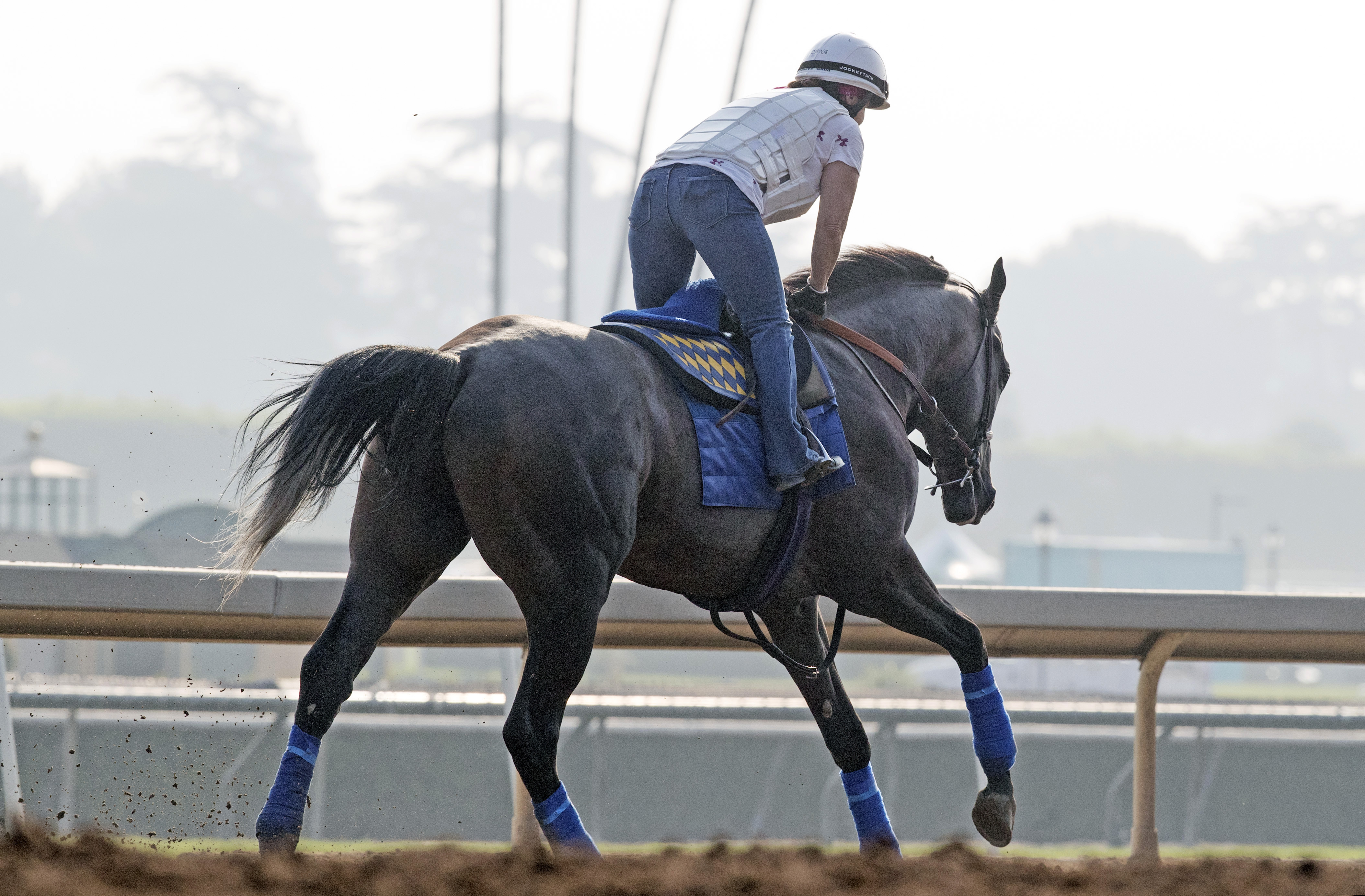 Arrogate trains at Santa Anita on July 5, 2017