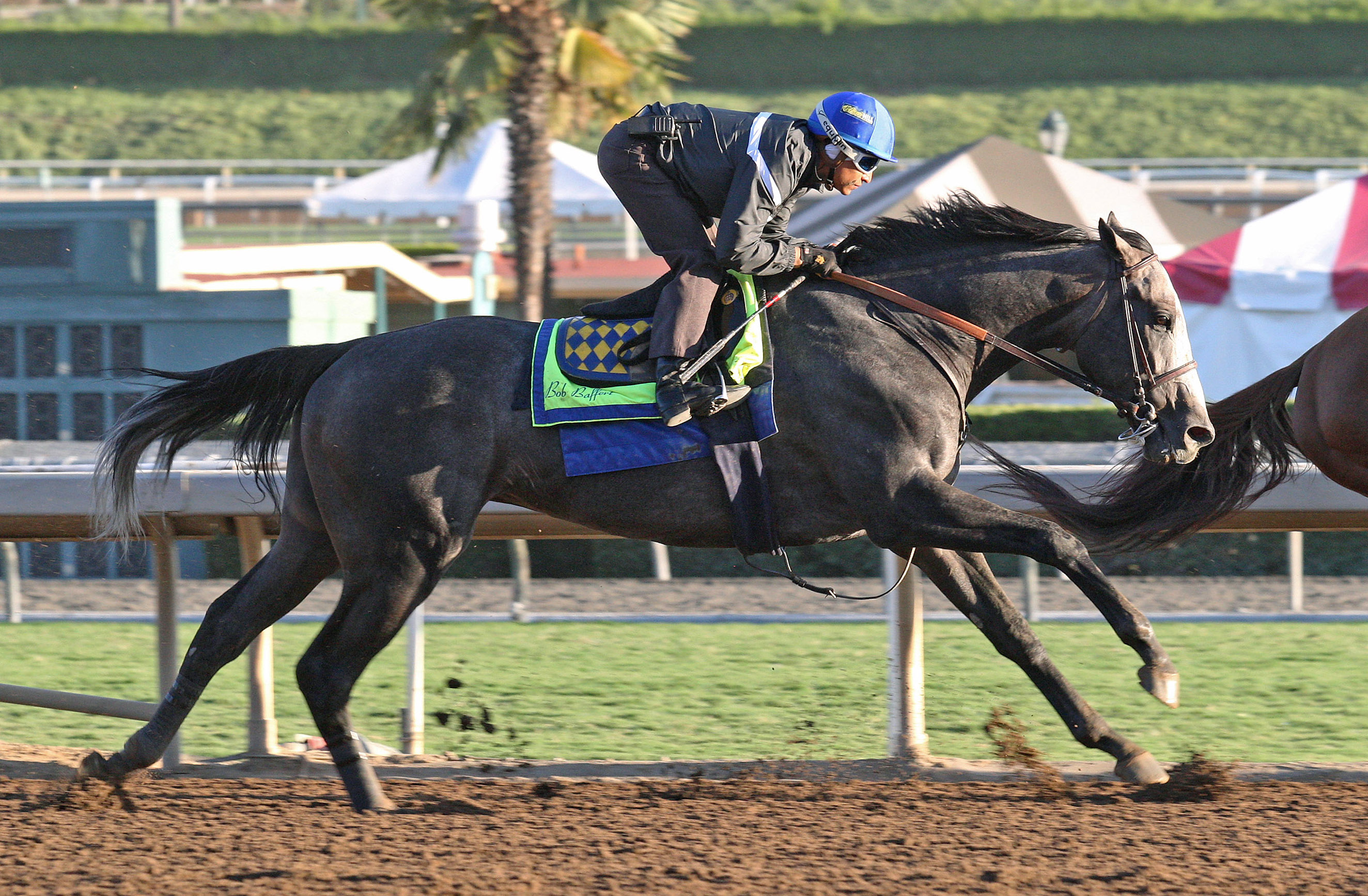 Arrogate trains at Santa Anita on Oct. 16, 2017