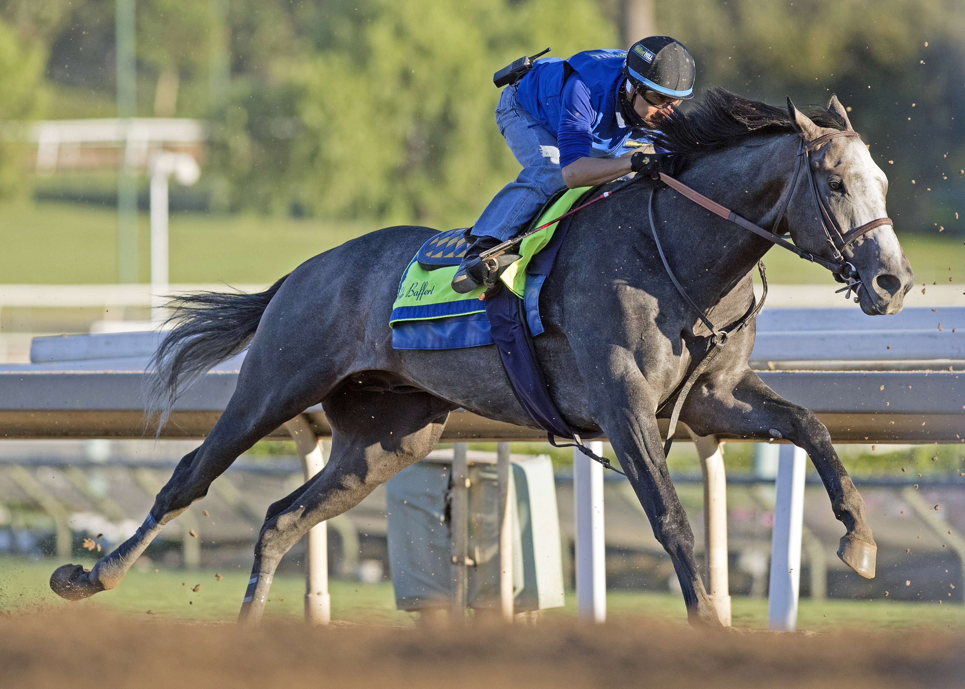 Arrogate trains at Santa Anita on Oct. 23, 2017