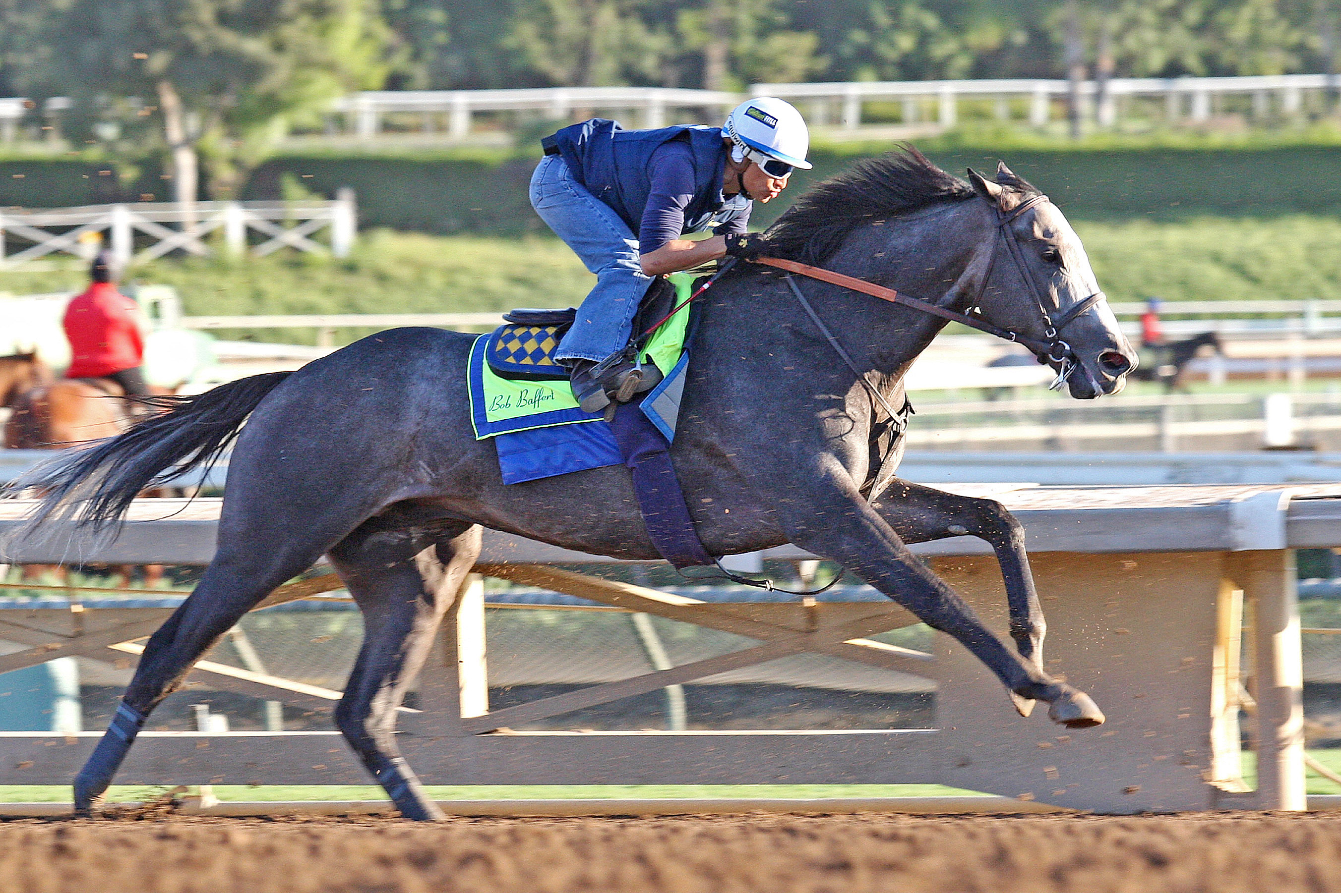 Arrogate trains at Santa Anita on Oct. 10, 2017