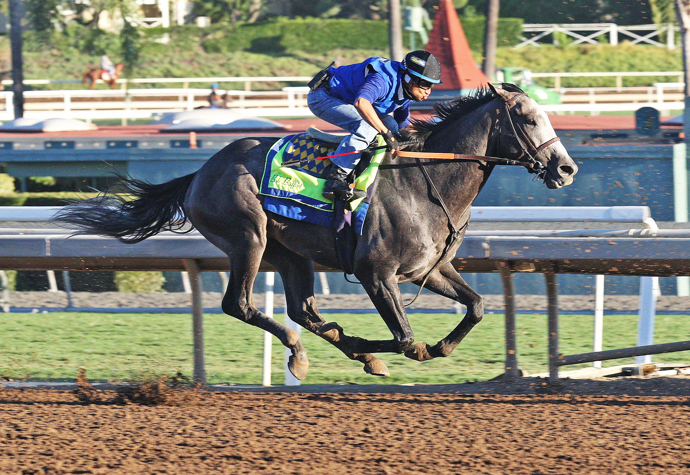 Arrogate trains at Santa Anita on Oct. 23, 2017