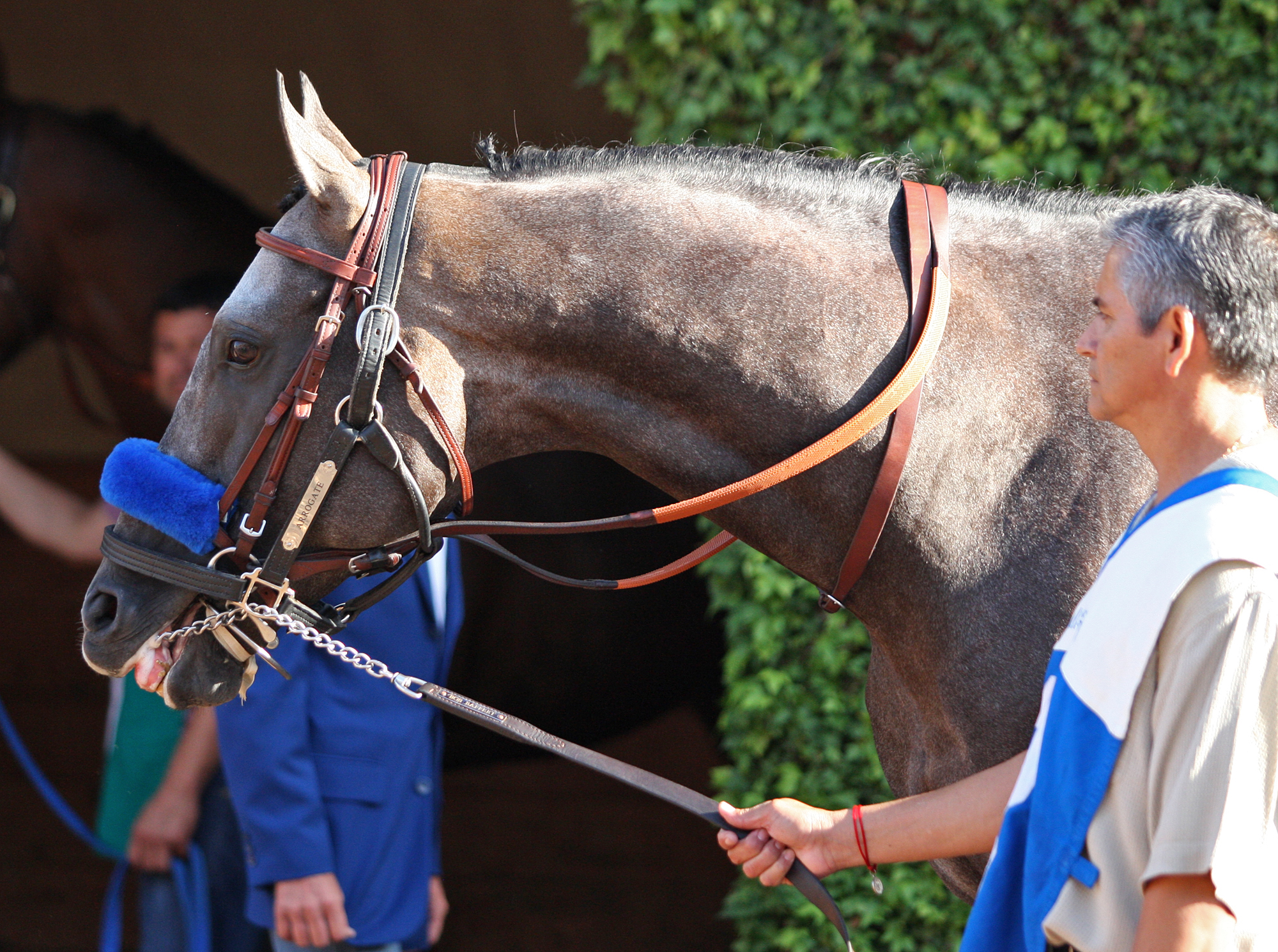Arrogate/San Diego