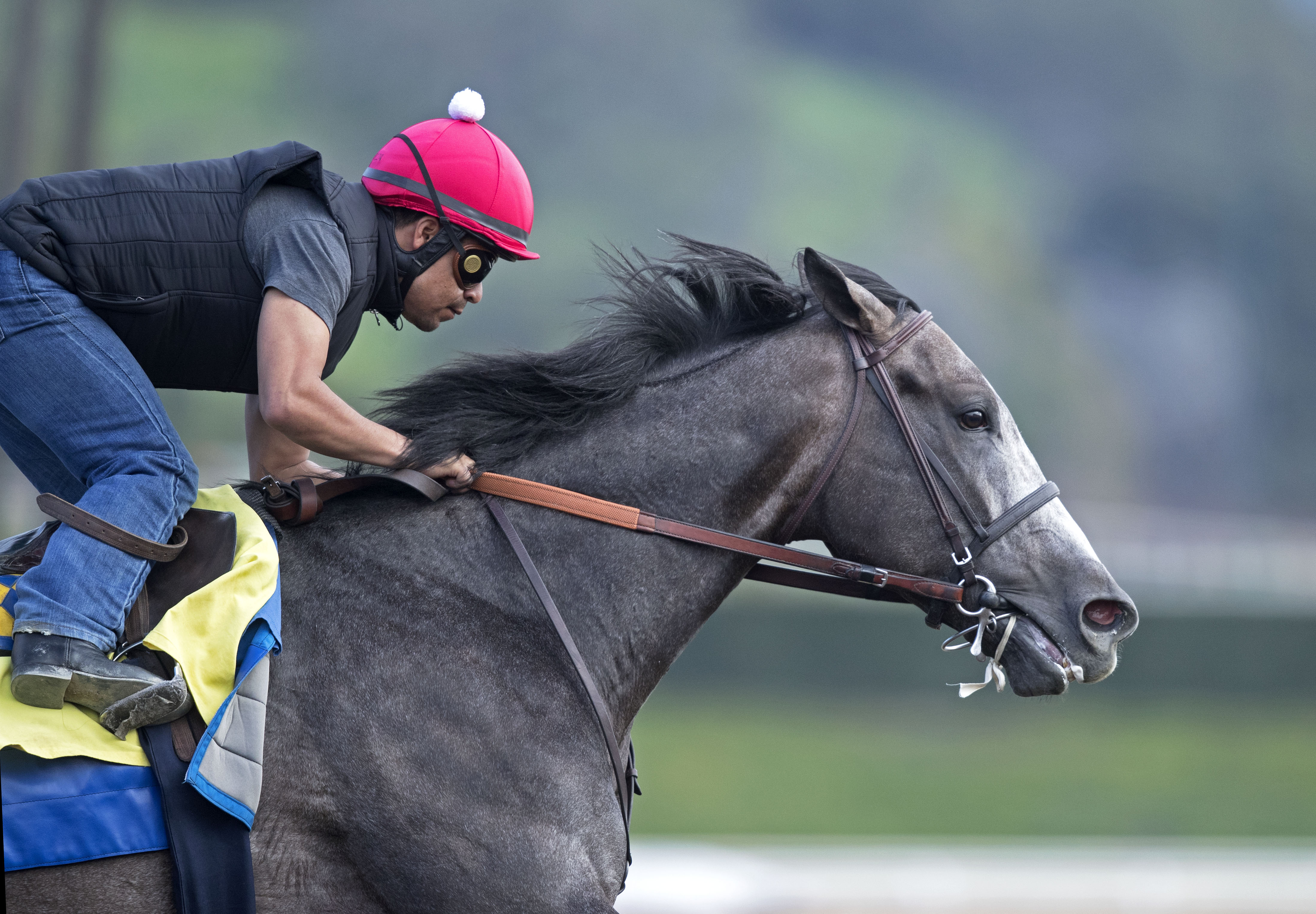 Arrogate 2.13 work
