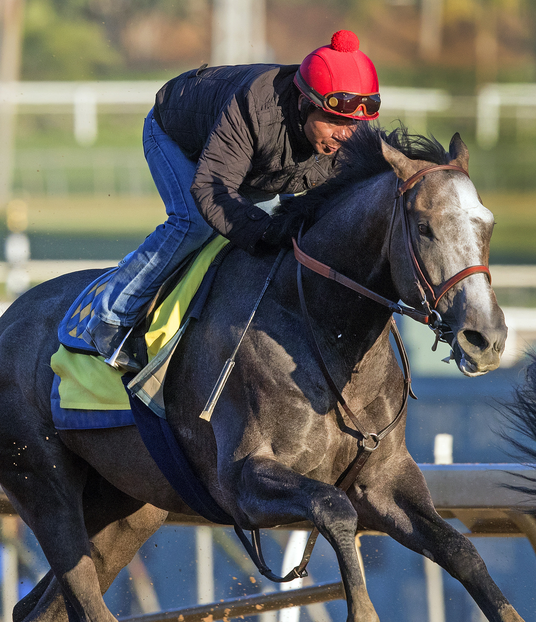 Arrogate trains at Santa Anita on March 12