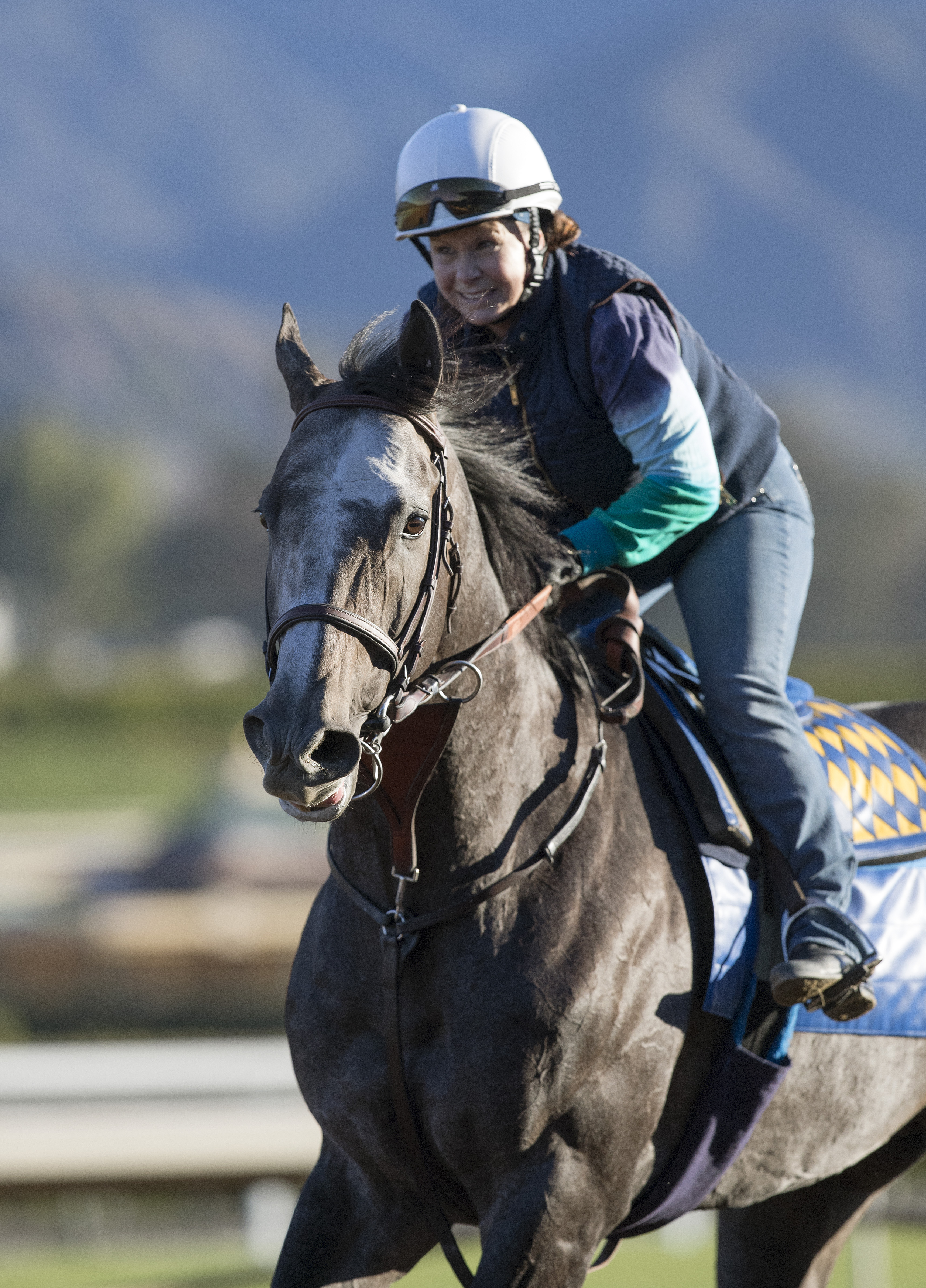Arrogate at Santa Anita on Dec. 29