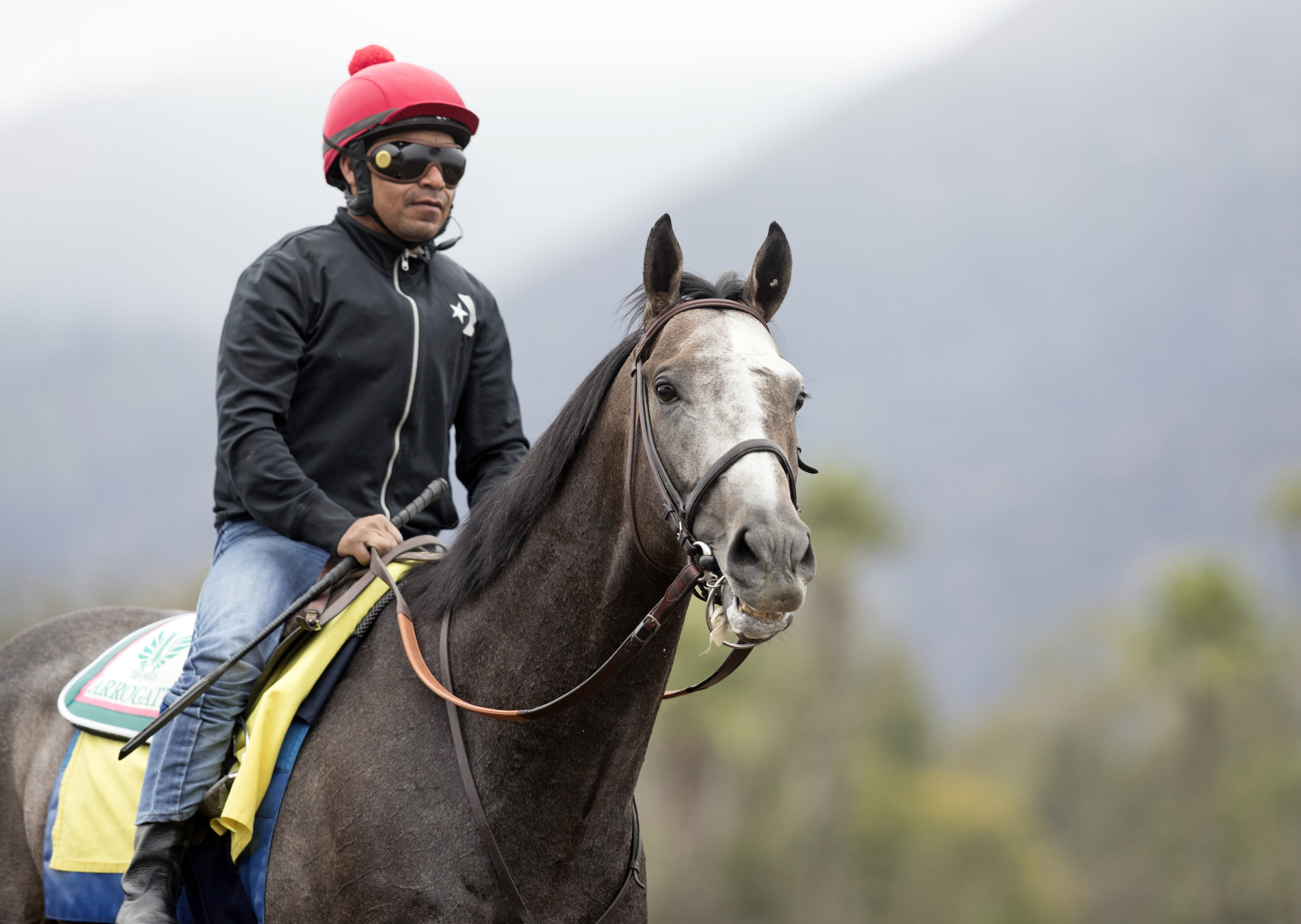 Arrogate on Feb. 27