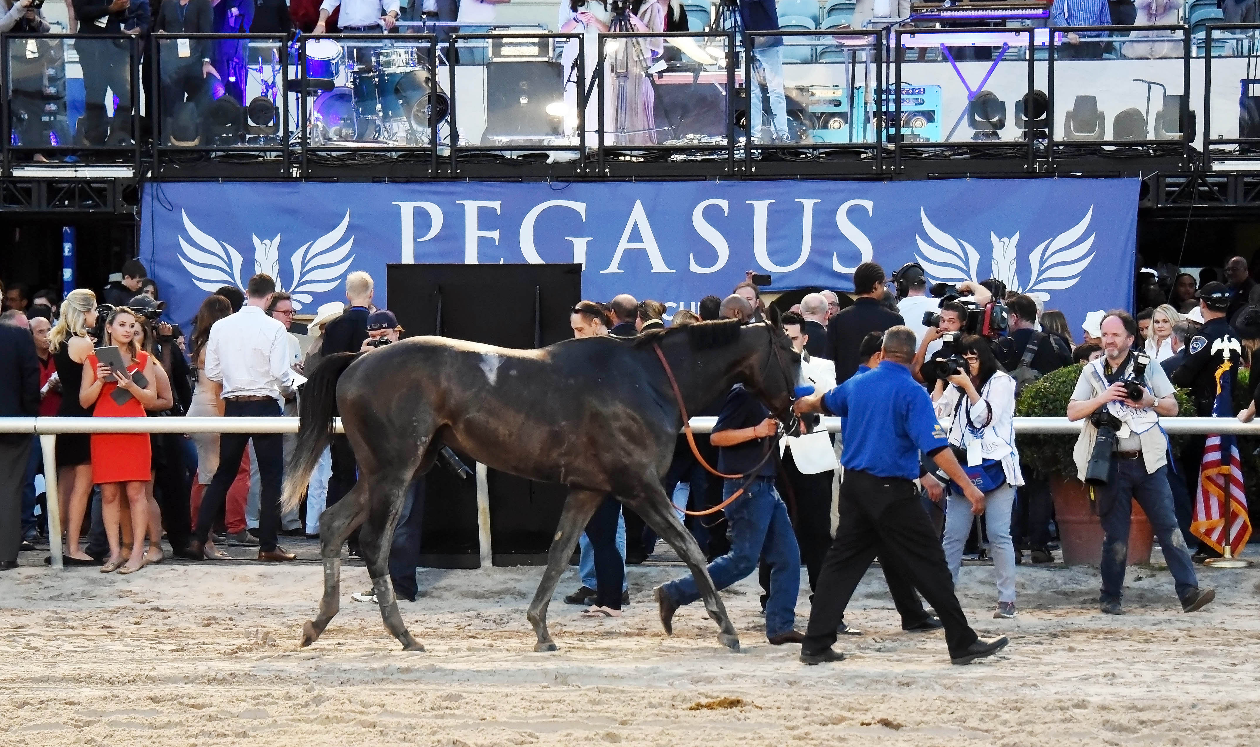 Arrogate at the 2017 Pegasus World Cup