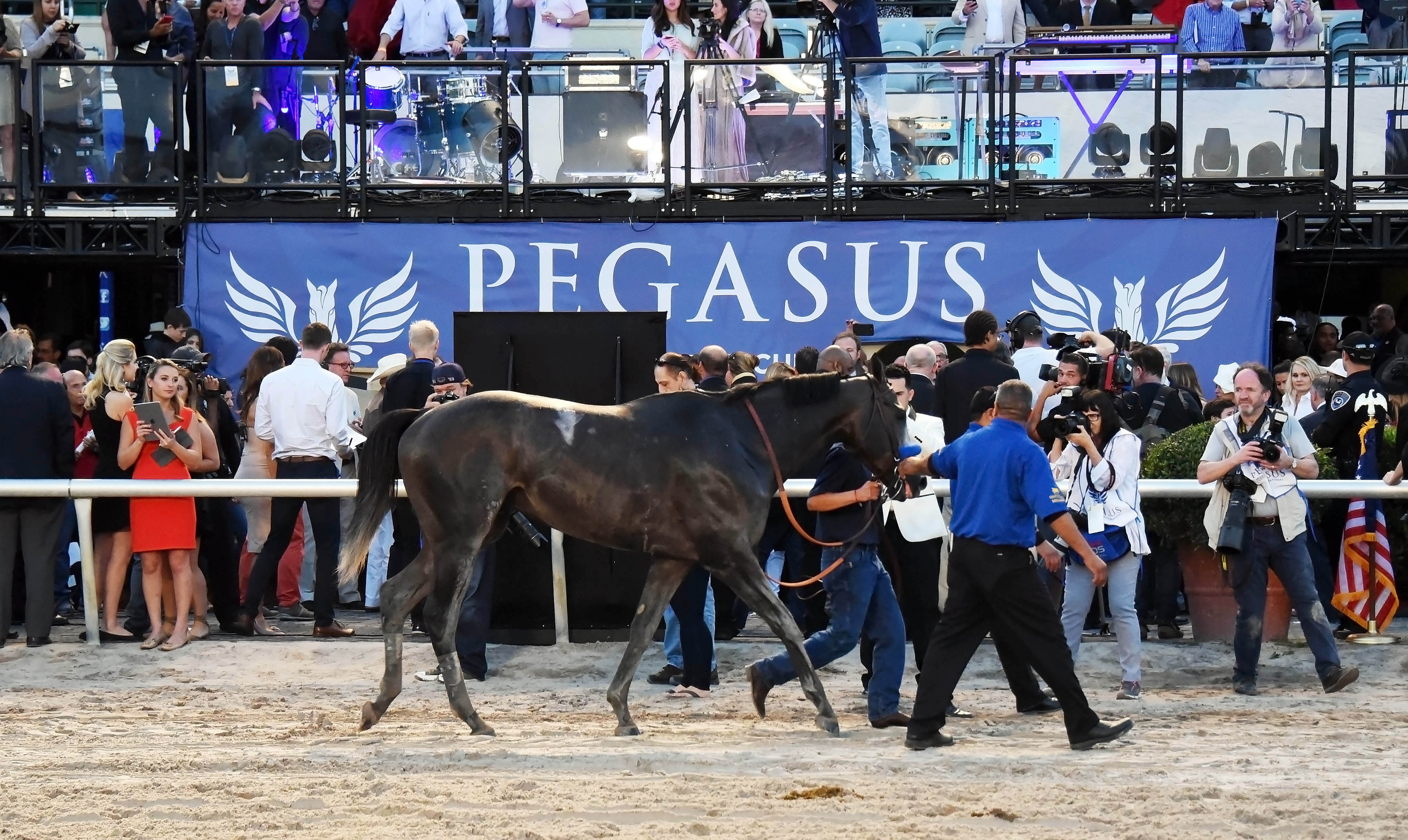 Arrogate at 2017 Pegasus World Cup