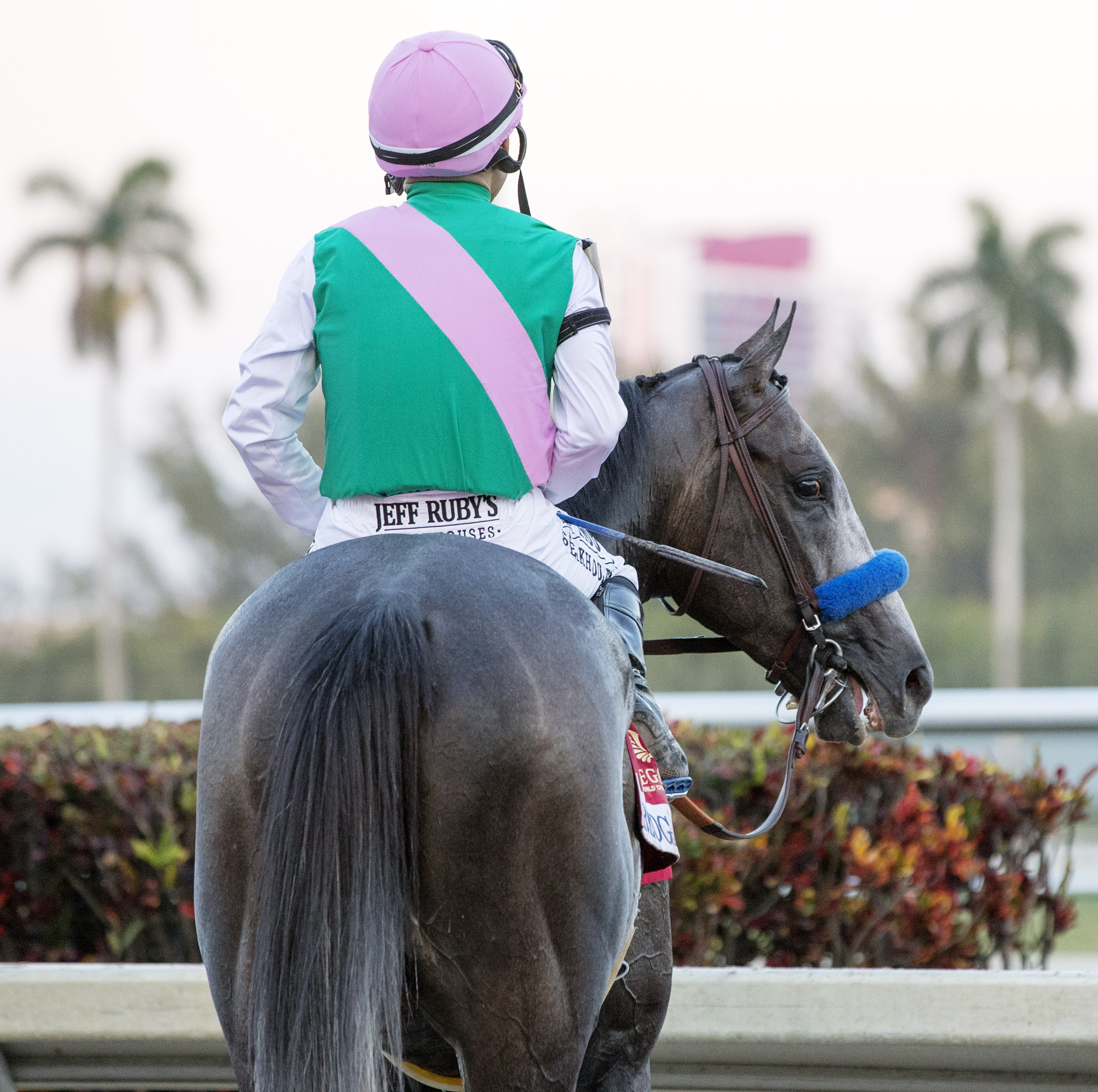 Arrogate at the Pegasus World Cup