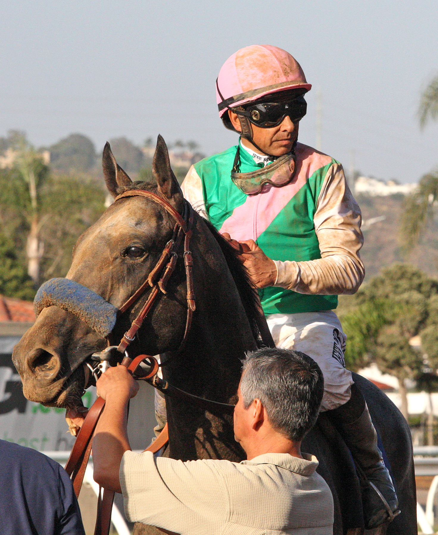 Arrogate following his defeat in the San Diego Handicap 7.22.17 ESH