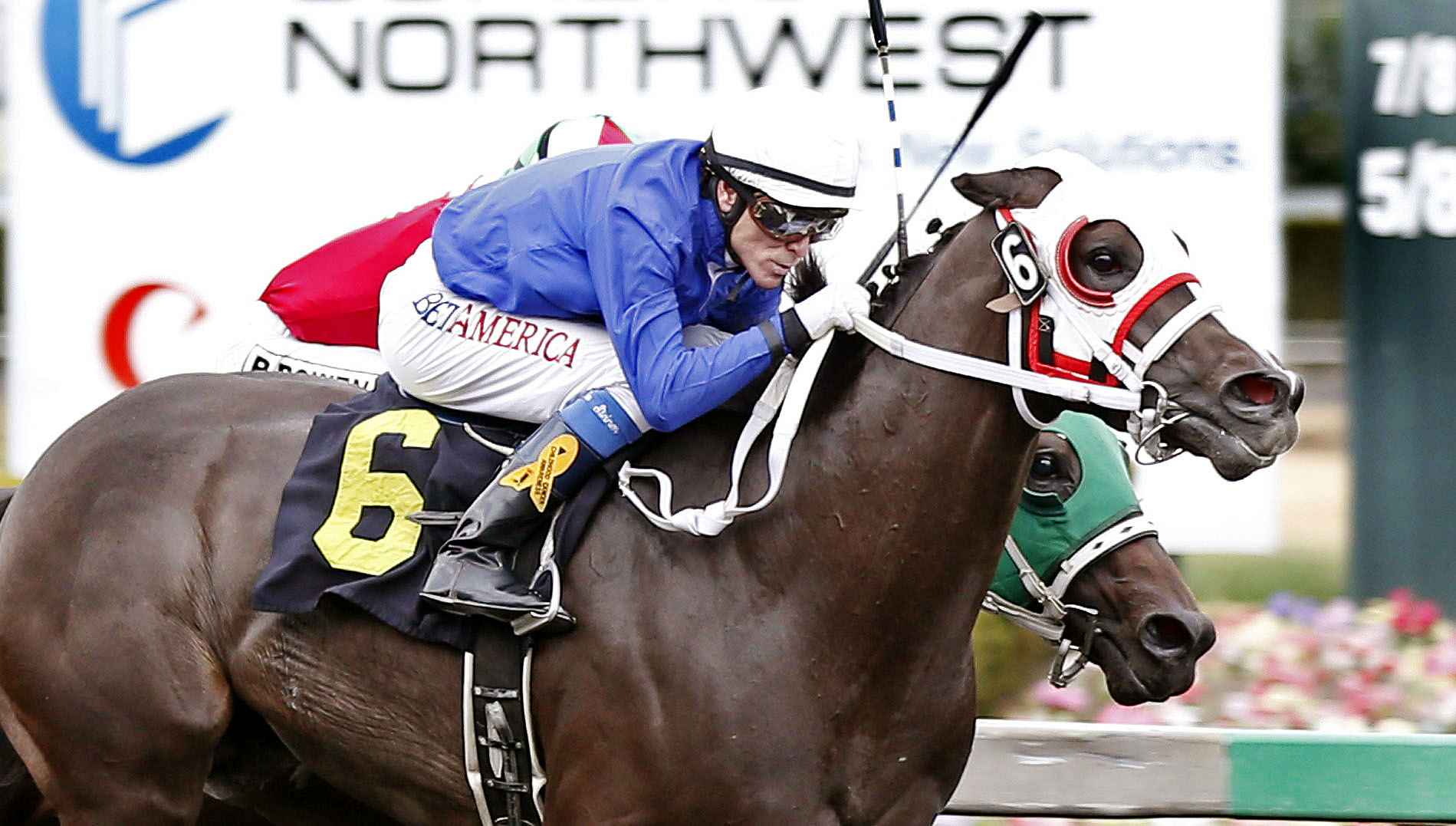 Arrom Bear wins an allowance at Emerald Downs