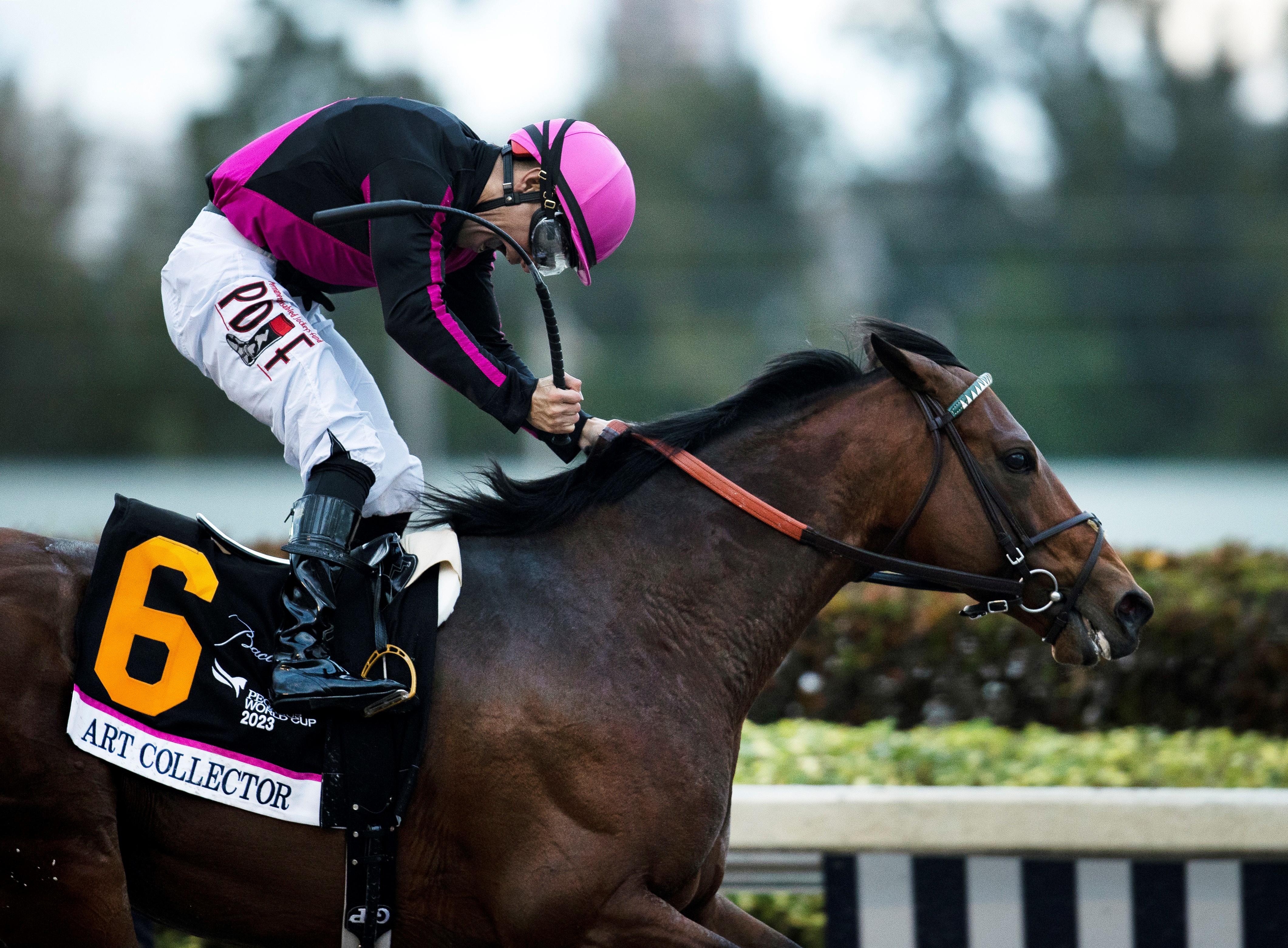 Art Collector Pegasus World Cup Jan 28 2023