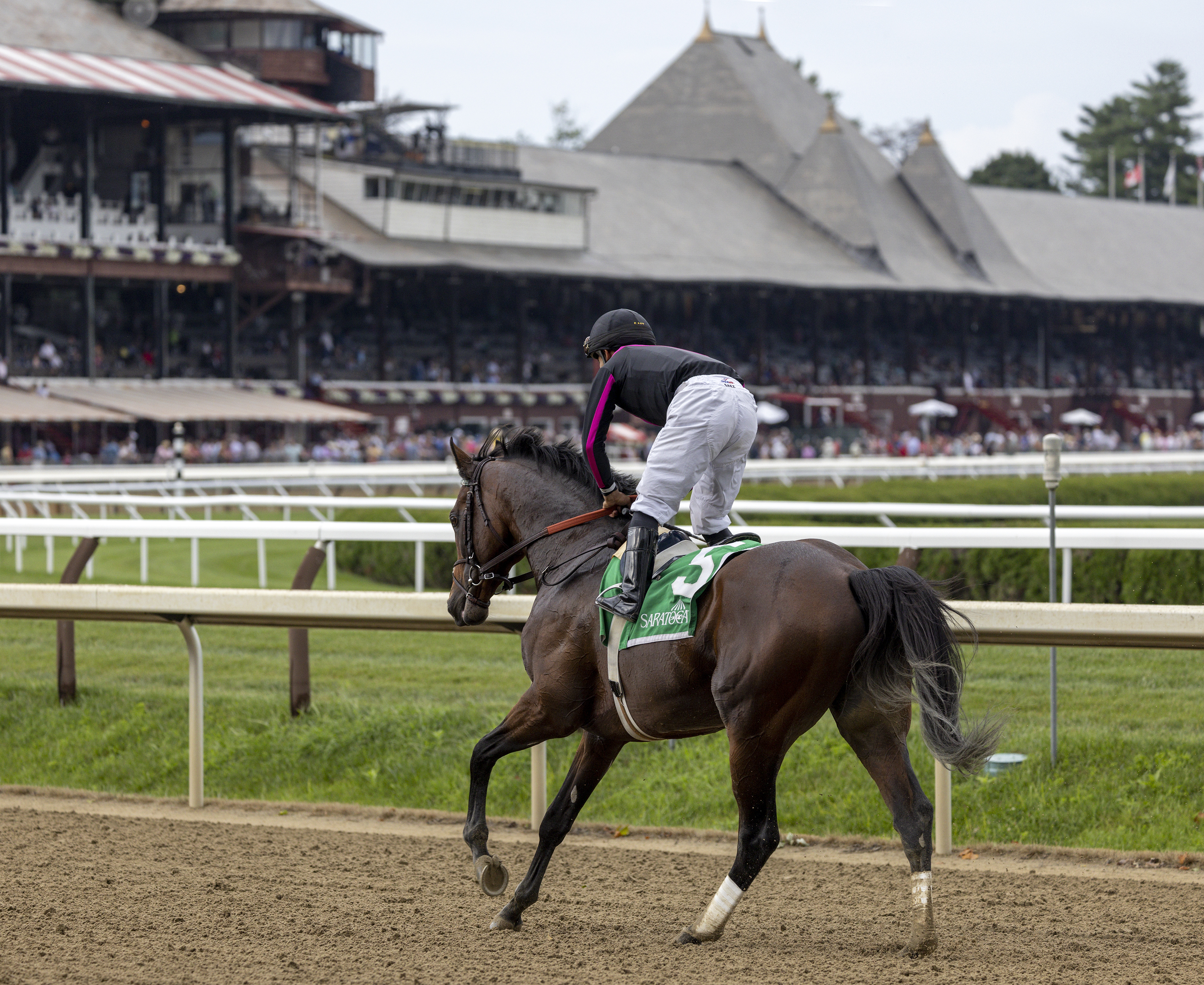 Art Collector at Saratoga Aug 4 2022