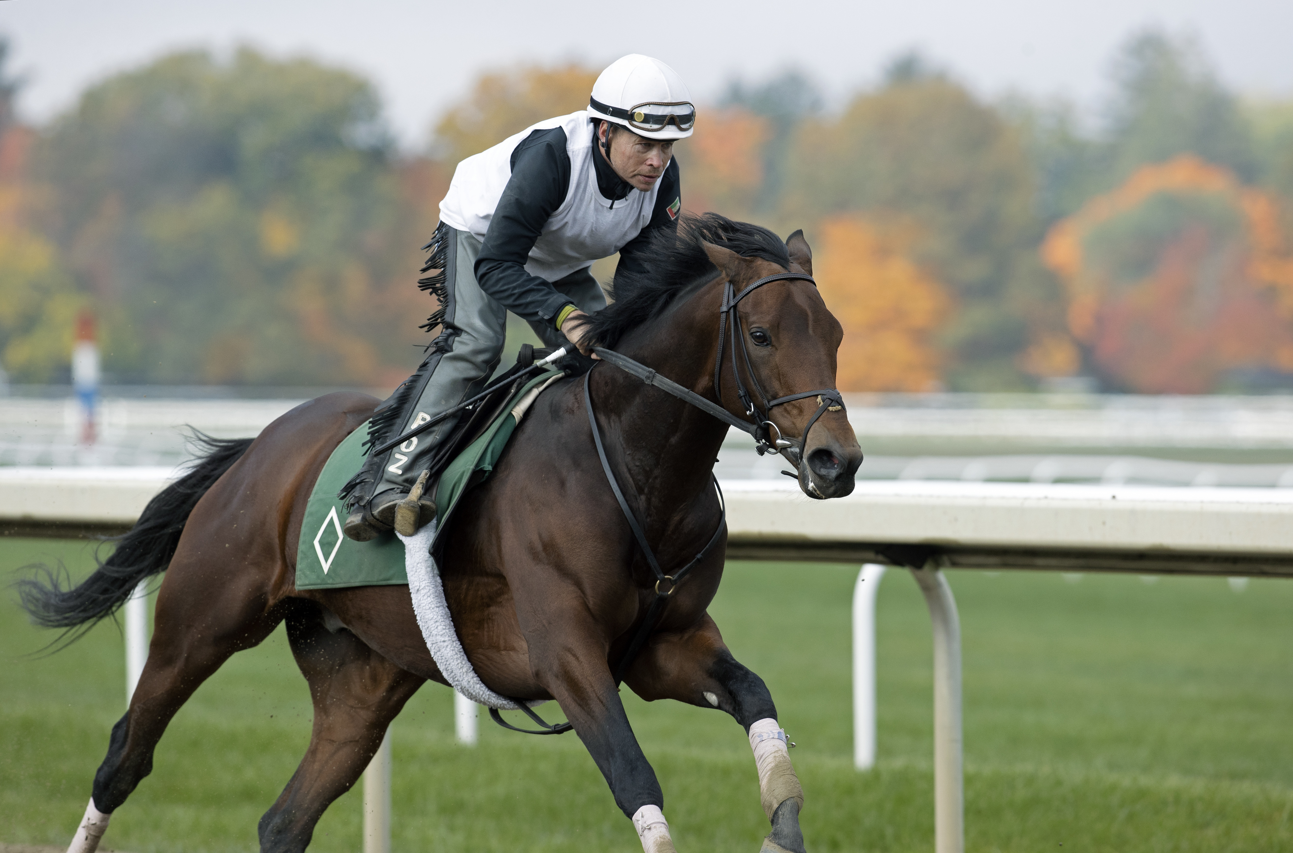 Art Collector breezes at Saratoga Oct 15 2022