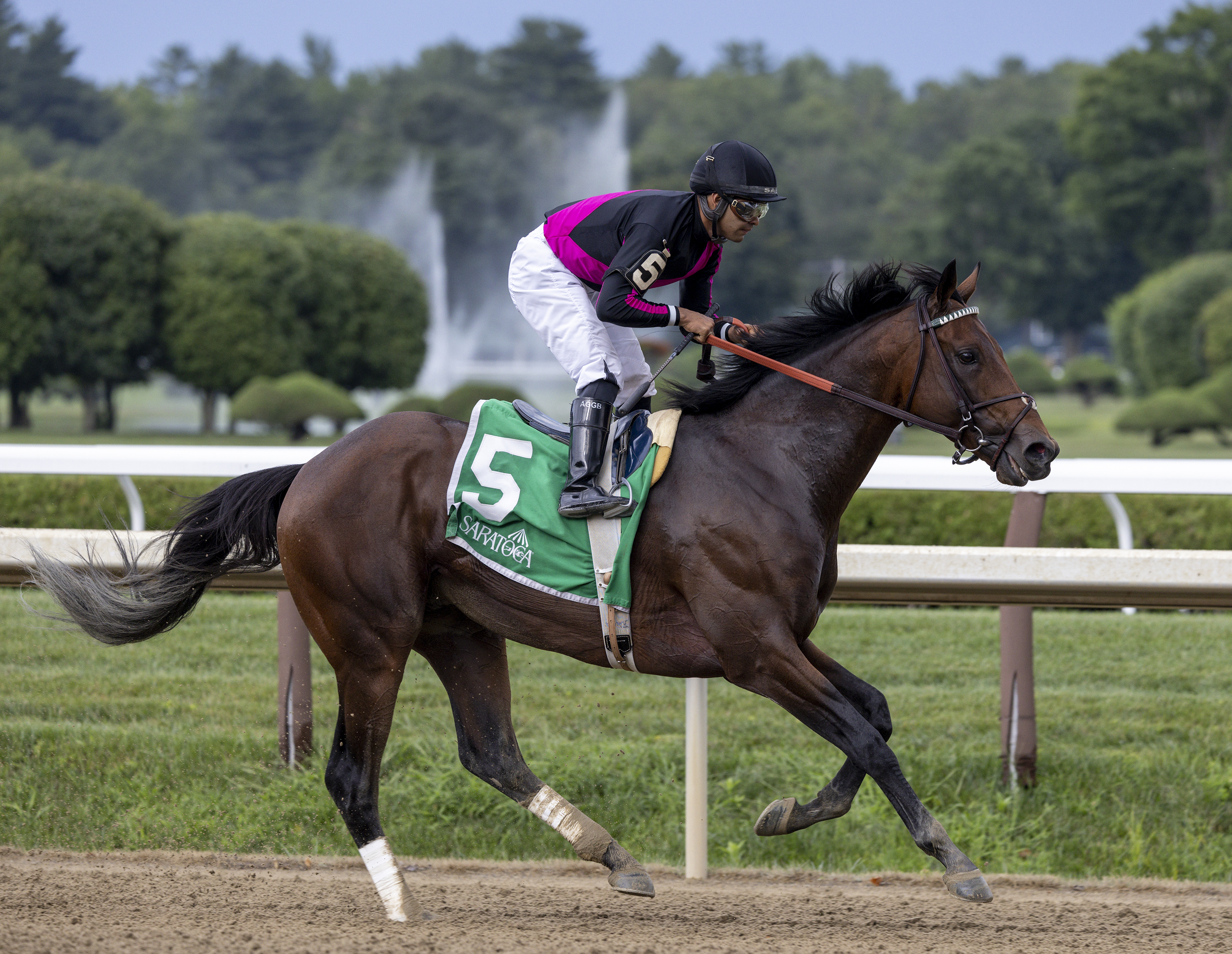Art Collector trains at Saratoga Aug 4 2022