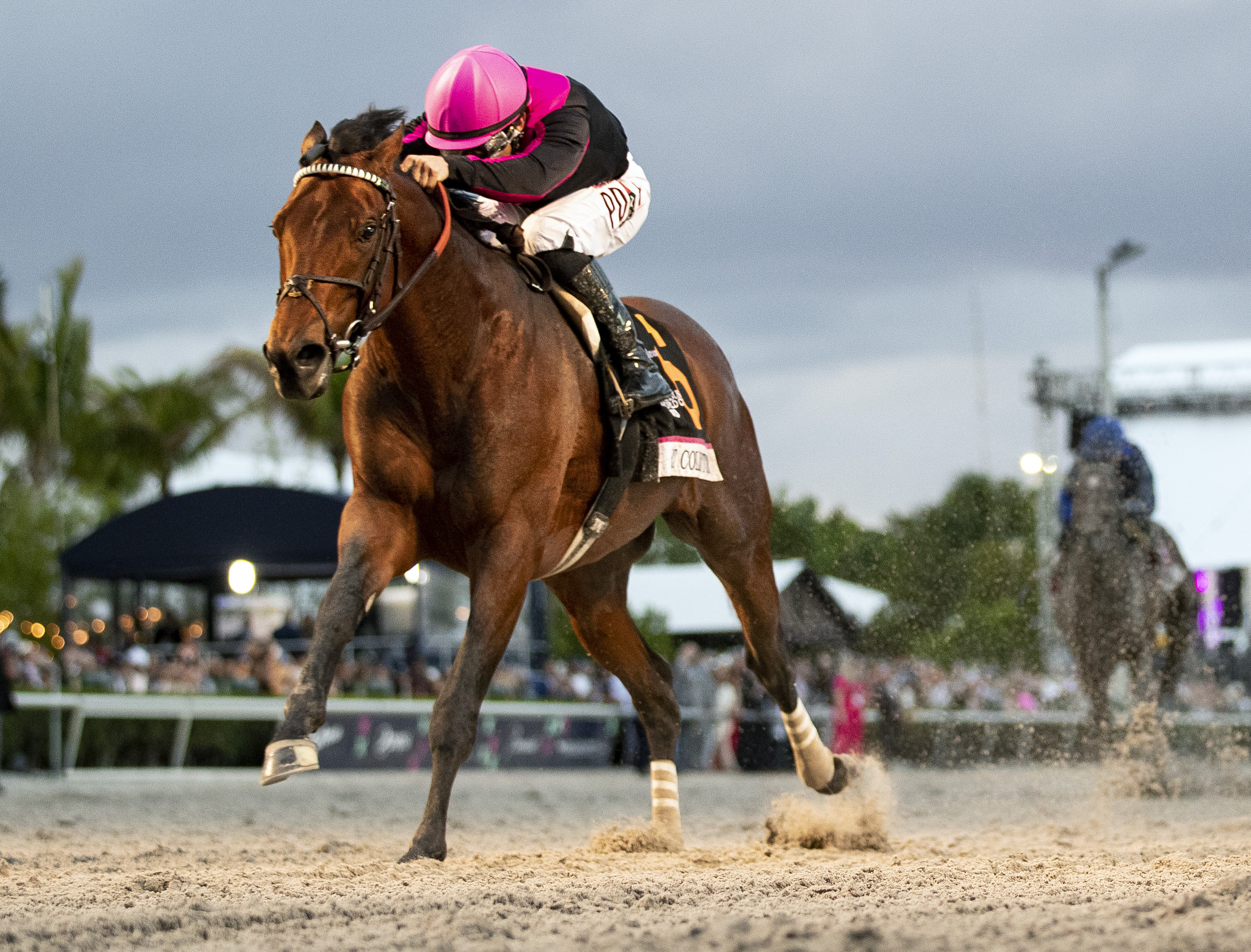 Art Collector wins the Pegasus World Cup at GP Jan 28 2023