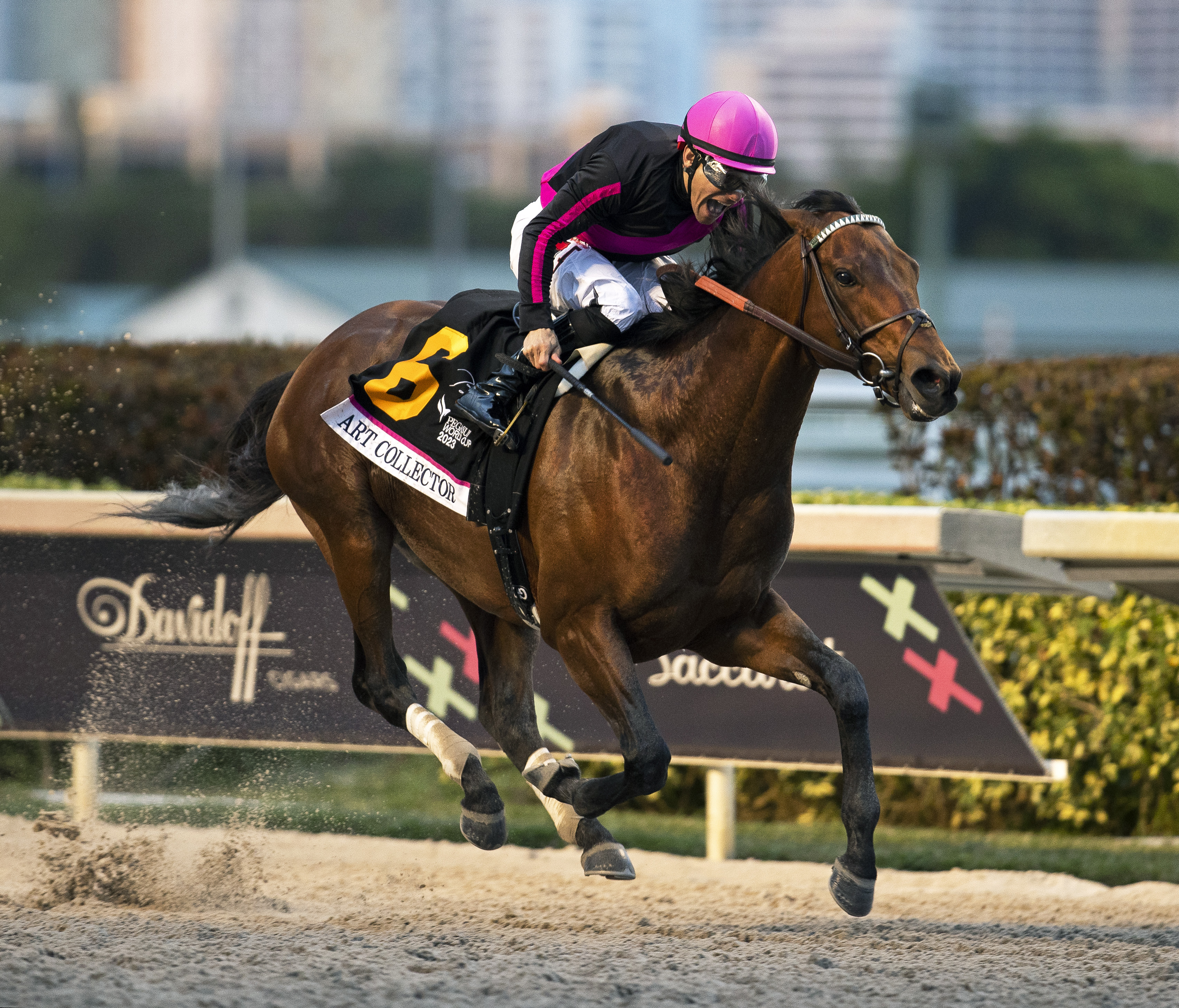 Art Collector/Pegasus World Cup