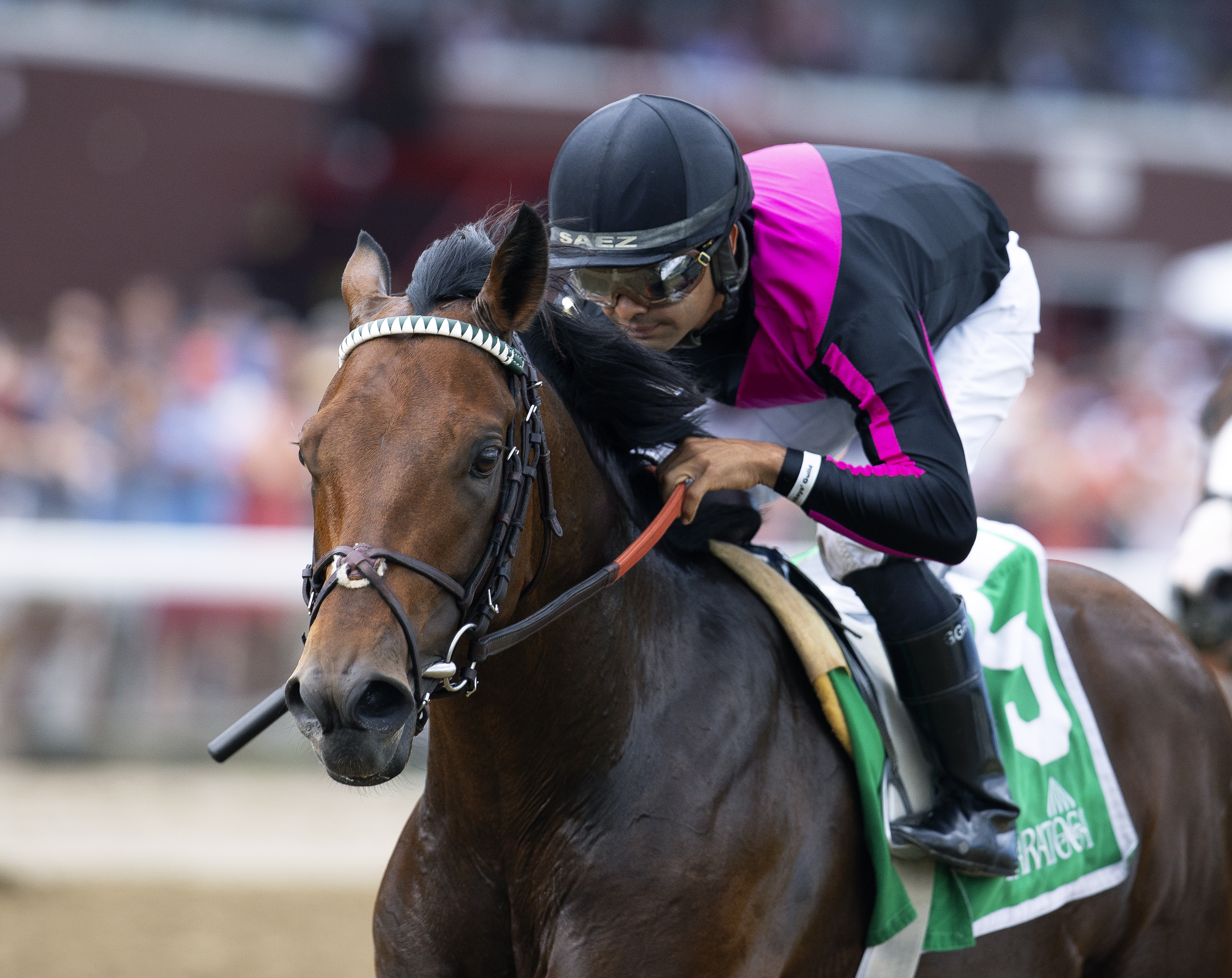 Art Collector - Alydar S. 2022