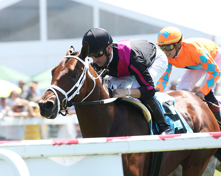 Art Collector wins a Sept. 5 maiden race at Kentucky Downs